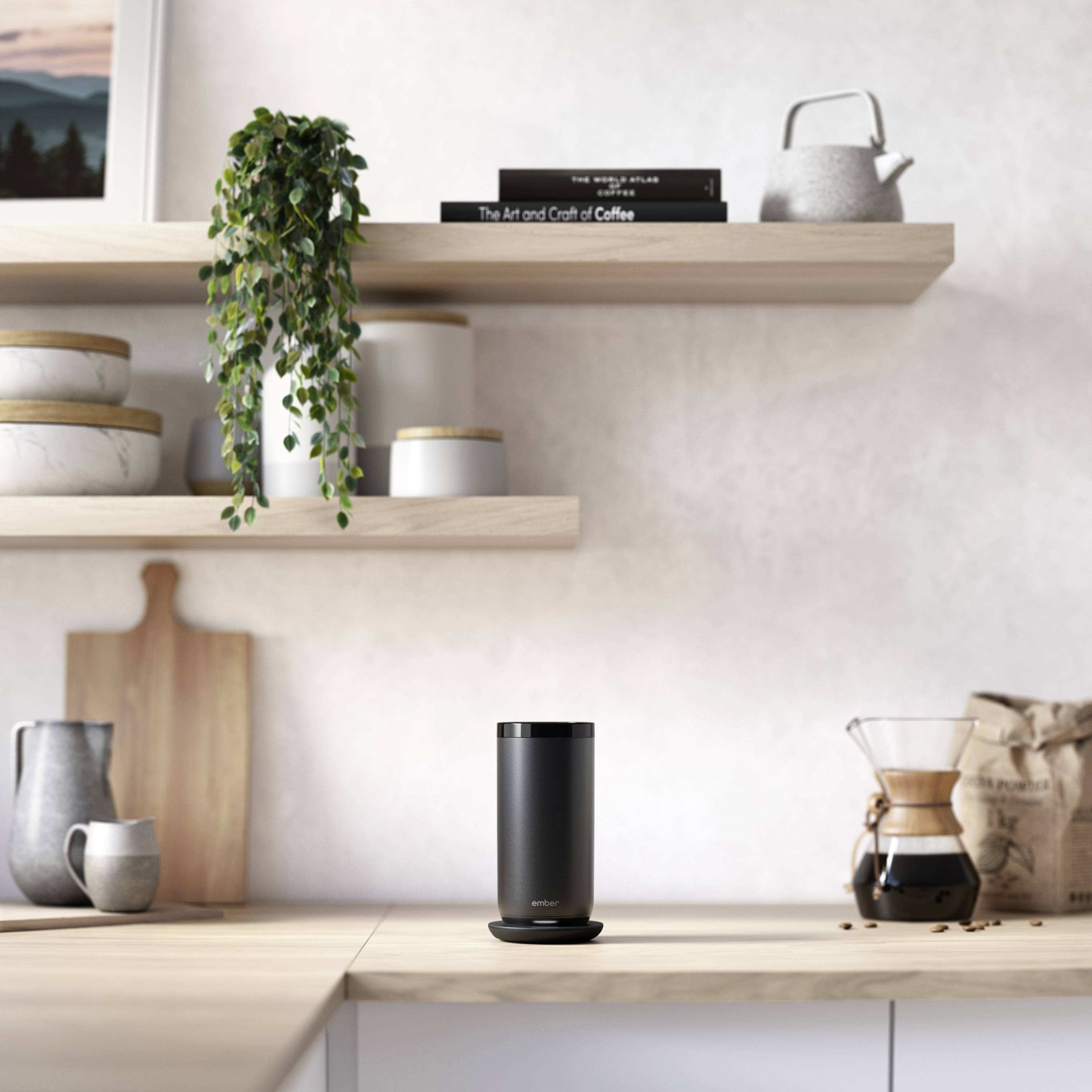 Moderne Küche mit Regalen, auf denen Pflanzen und Bücher stehen. Auf der Arbeitsplatte eine Kaffeemaschine und ein schwarzer Lautsprecher.