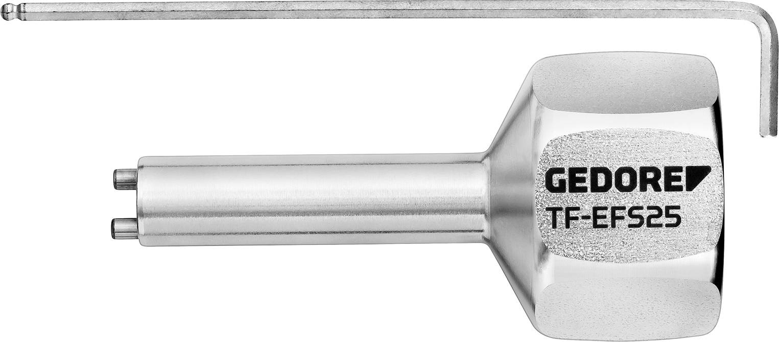 „Gedore TF-EFS25“-Werkzeug mit zwei Stiften, geeignet für spezifische Schraubenanwendungen, aus Metall, silberfarben.