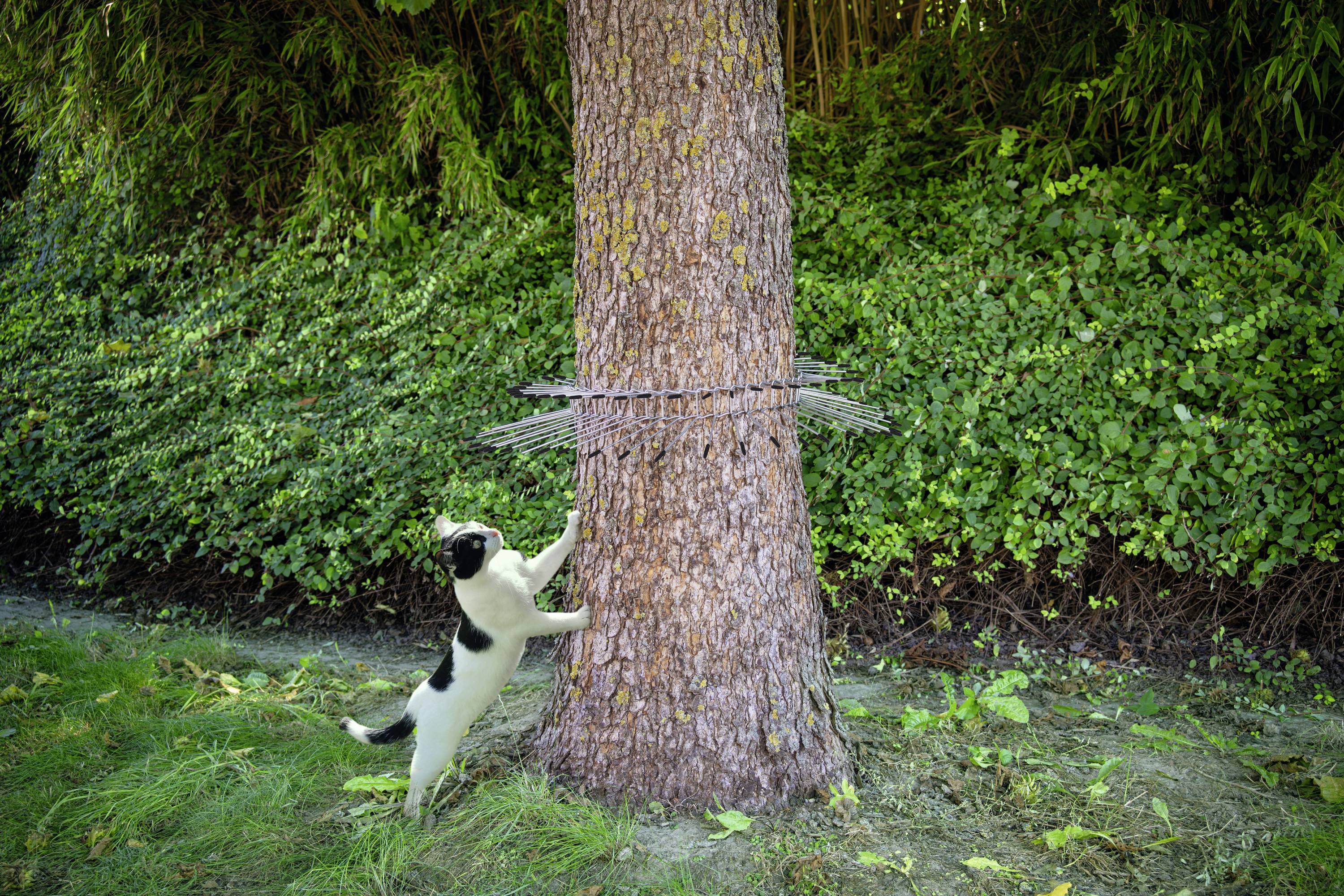 Gardigo Waschbär-, Marder-, Katzen- Abwehrgürtel Schädlingsvertreiber Funktionsart Abschreckung 1St.