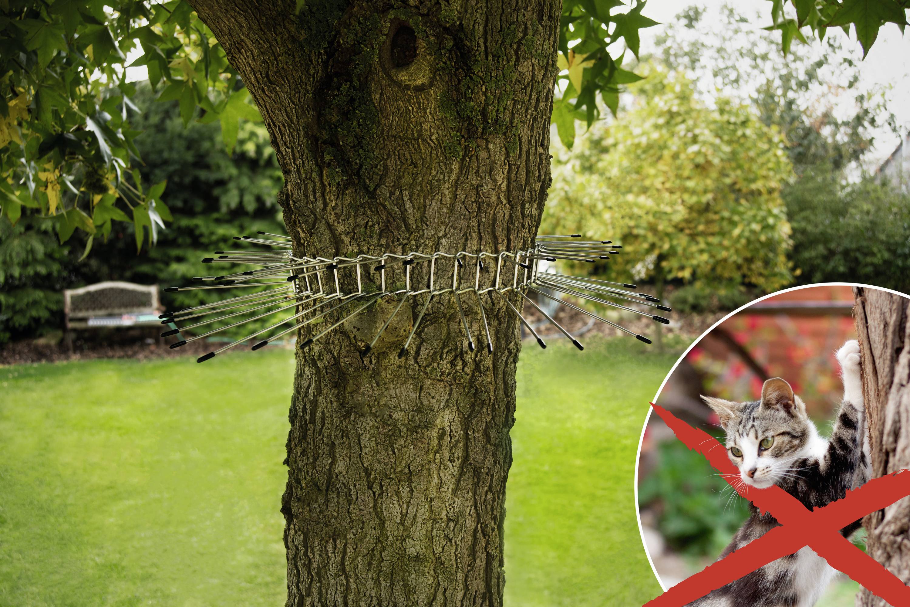 Gardigo Waschbär-, Marder-, Katzen- Abwehrgürtel Schädlingsvertreiber Funktionsart Abschreckung 1St.