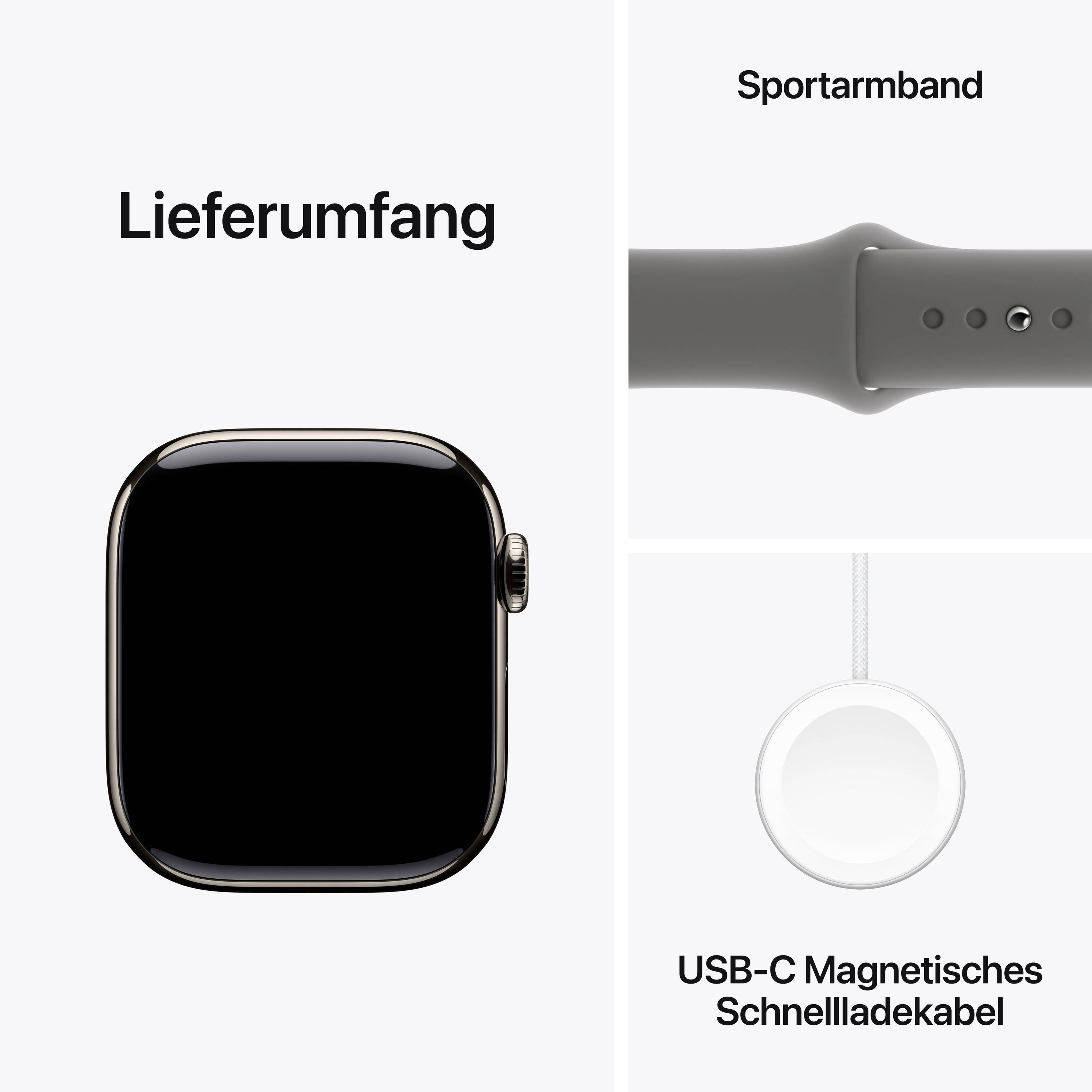 Apple Watch Series 10 GPS + Cellular 42 mm Titangehäuse Sport Band Steingrau M/L