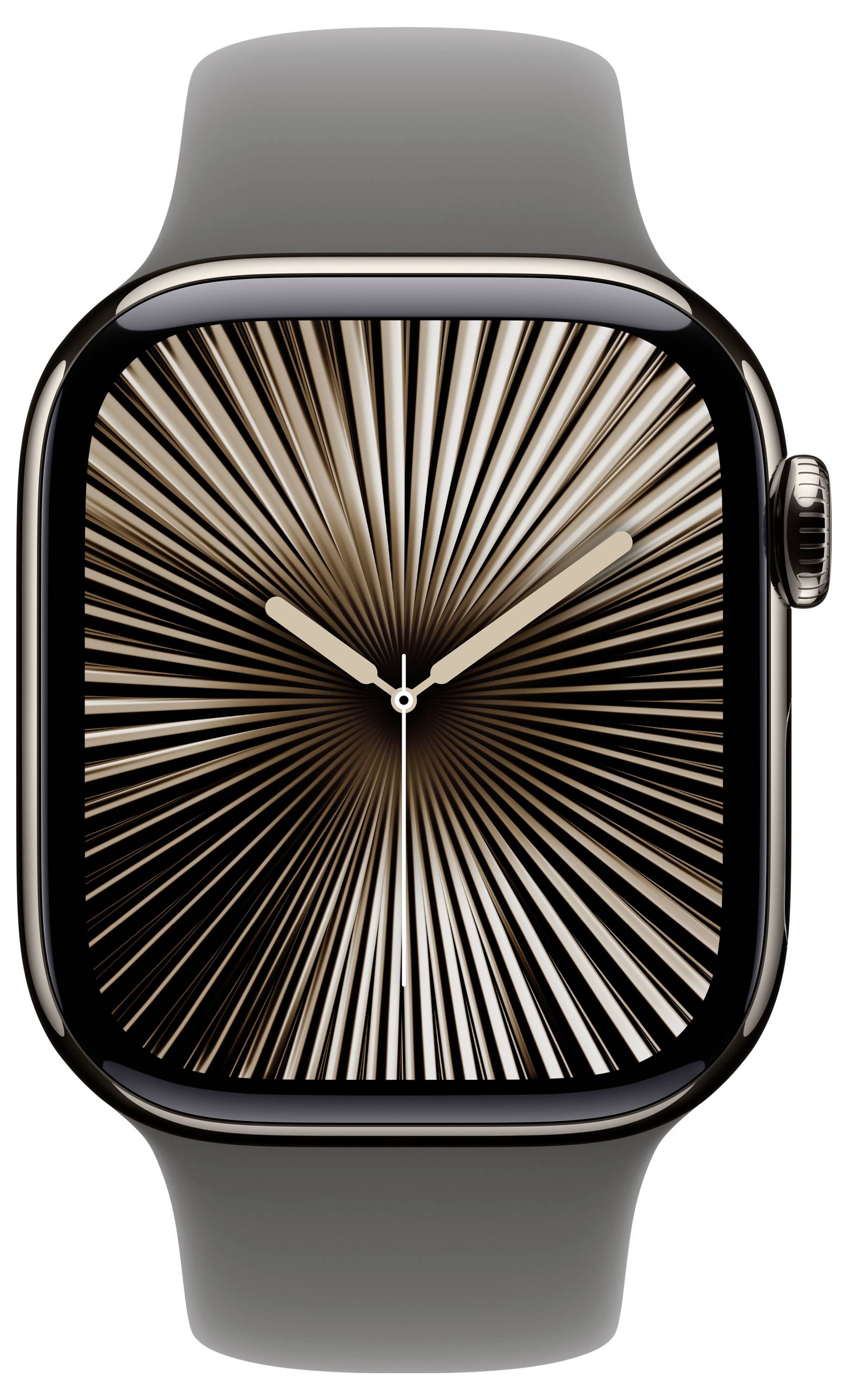 Apple Watch Series 10 GPS + Cellular 42 mm Titangehäuse Sport Band Steingrau M/L