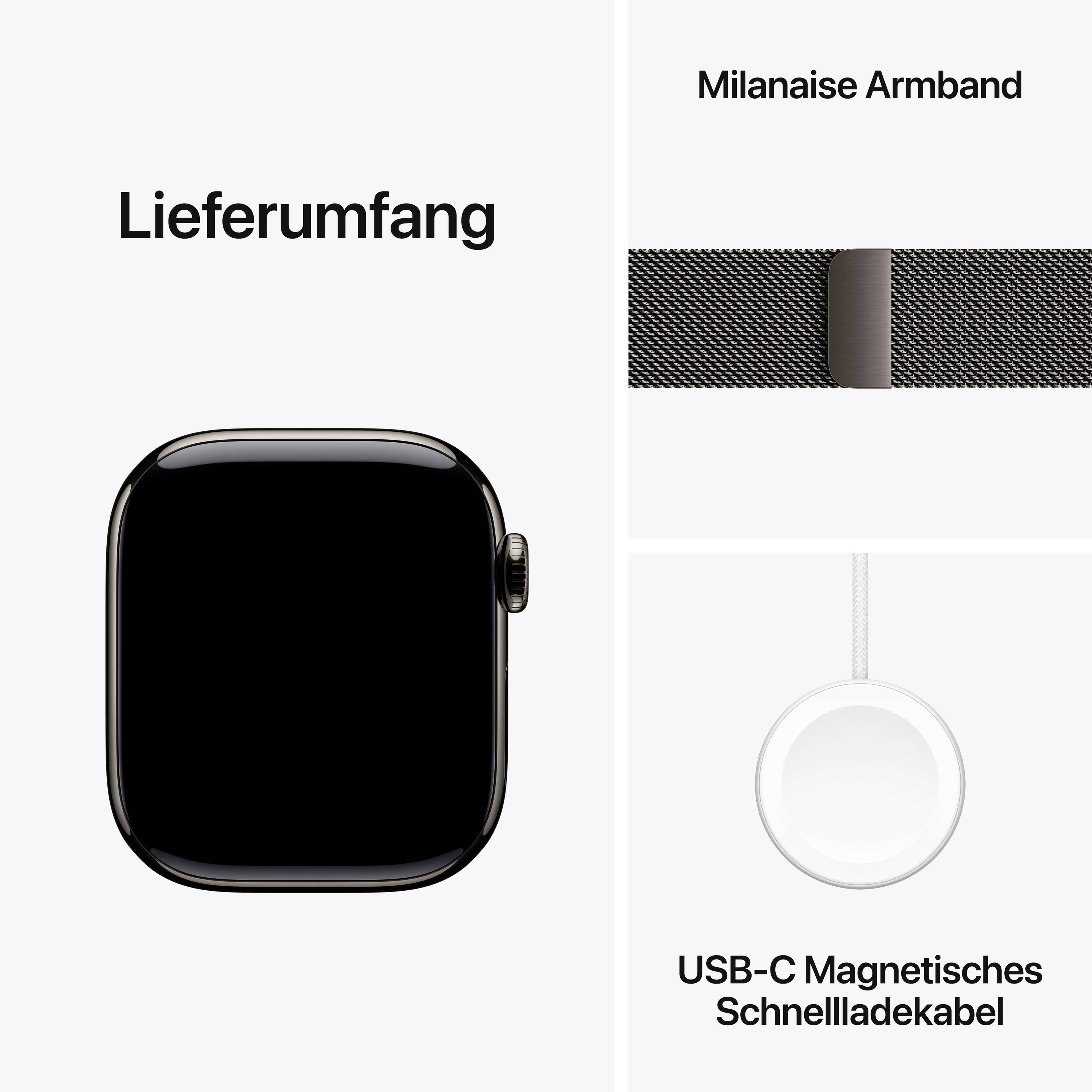 Apple Watch Series 10 GPS + Cellular 42mm Titangehäuse Milanaisearmband Schiefer