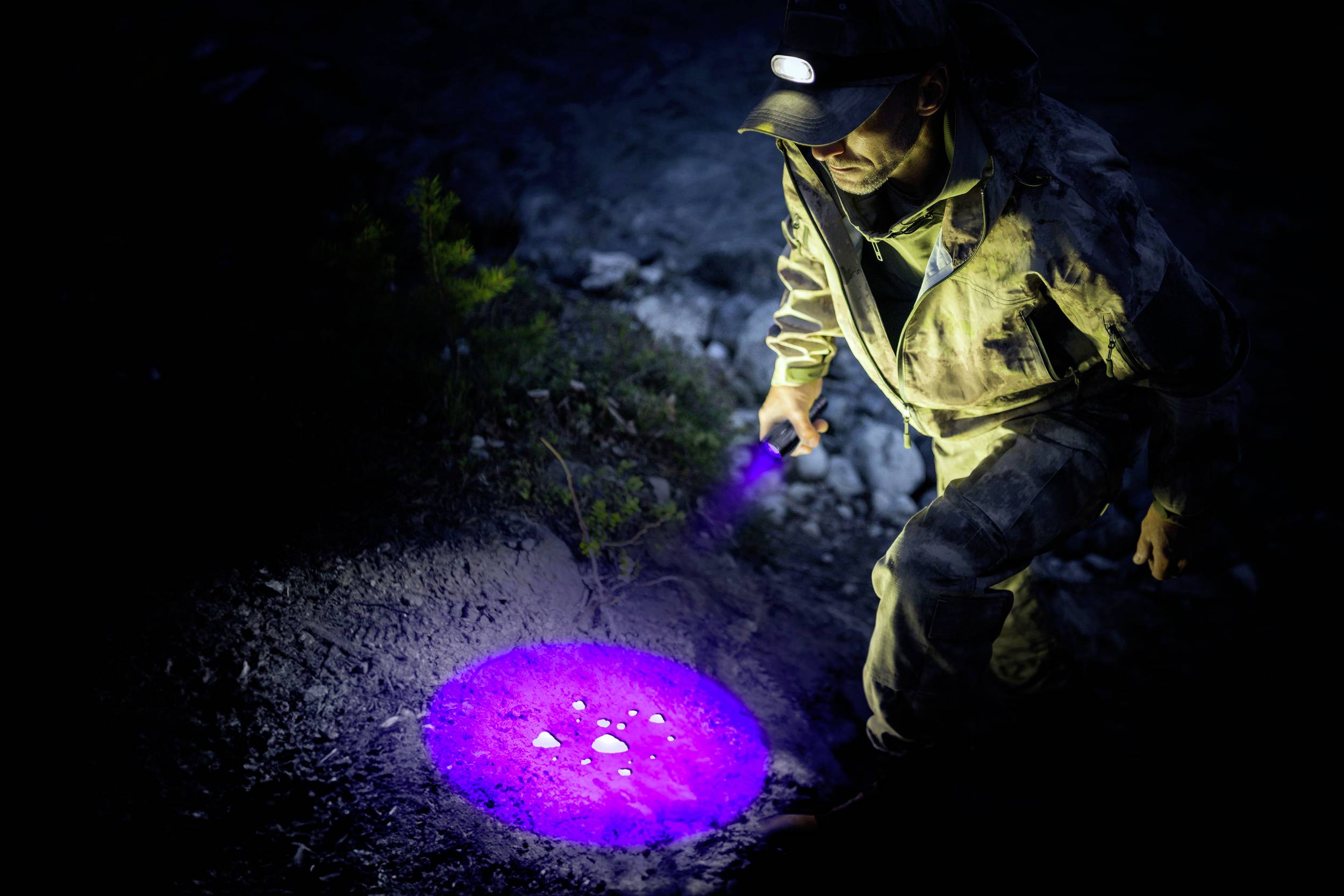 Eine Person mit Stirnlampe untersucht nachts den Boden mit einer UV-Taschenlampe, die den Bereich lila beleuchtet.