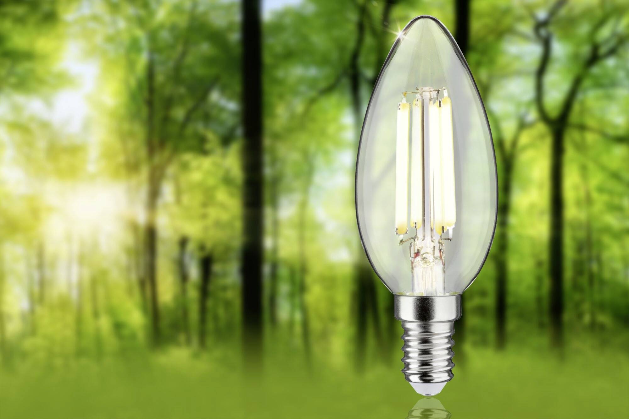 Paulmann 29195 LED EEK A (A - G) E14 Kerzenform 2.5W Warmweiß (Ø x H) 35mm x 98mm 1St.