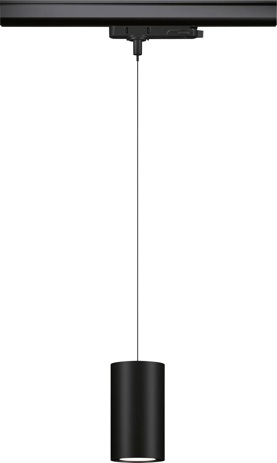 Paulmann Kratos 96611 LED-Pendelleuchte LED 18.5W Schwarz