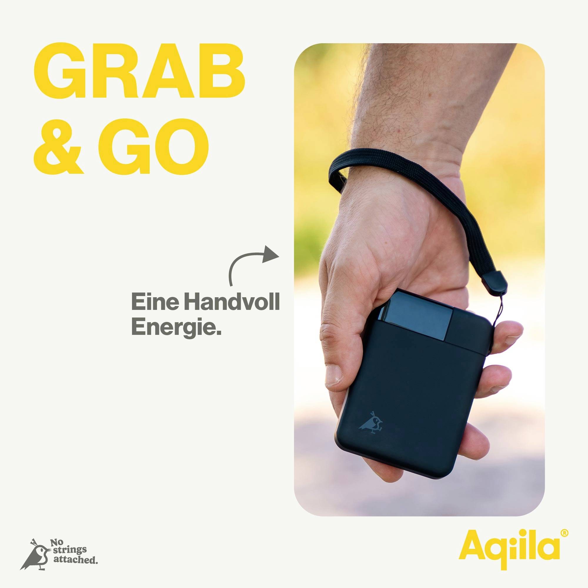 Aqiila Powerbird B5B Powerbank 5000 mAh LiPo USB-A, USB-C® Schwarz