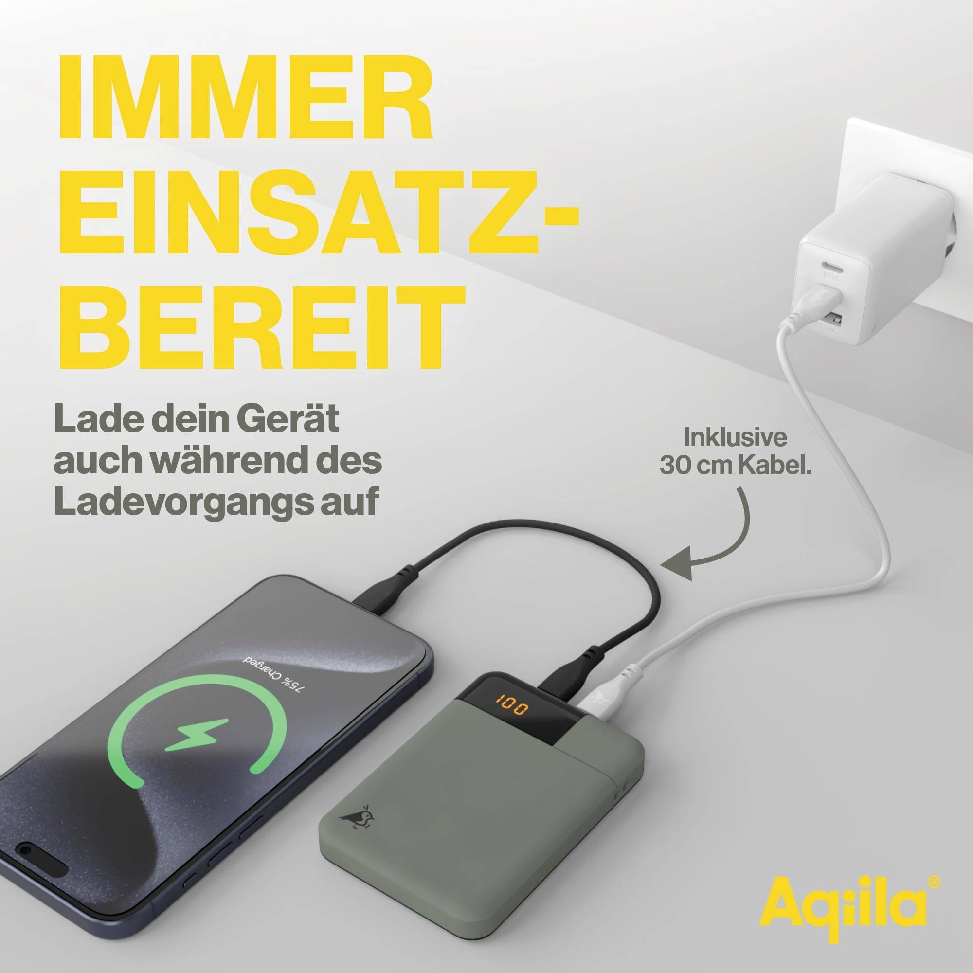 Aqiila Powerbird B5M Powerbank 5000 mAh LiPo USB-A, USB-C® Moosgrün