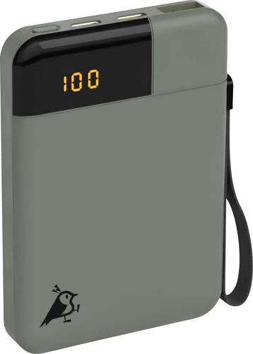 Aqiila Powerbird B5M Powerbank 5000 mAh LiPo USB-A, USB-C® Moosgrün