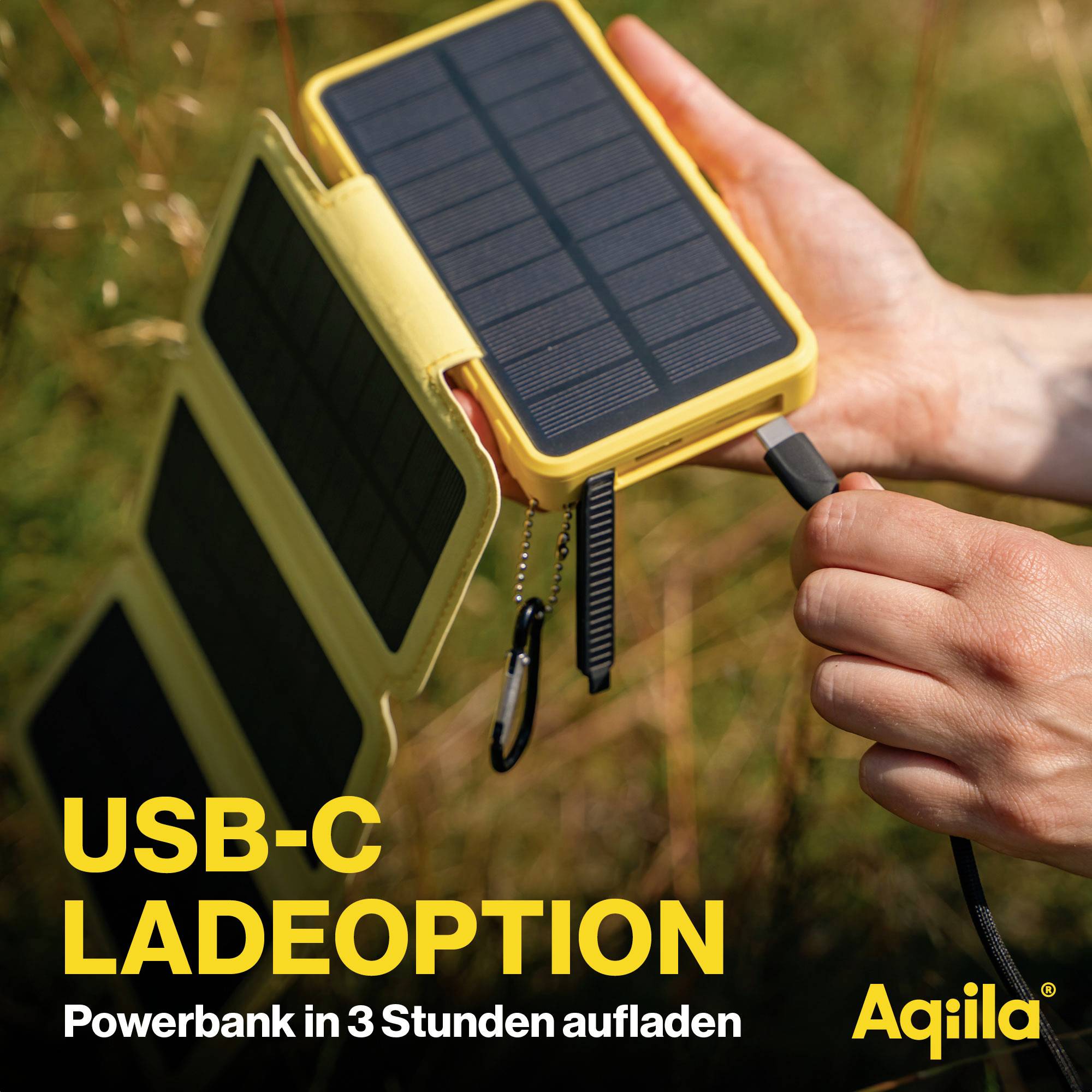 Aqiila Powerbird BS10 AQPBPBIBS1SG973 Solar-Powerbank 6W 10000 mAh