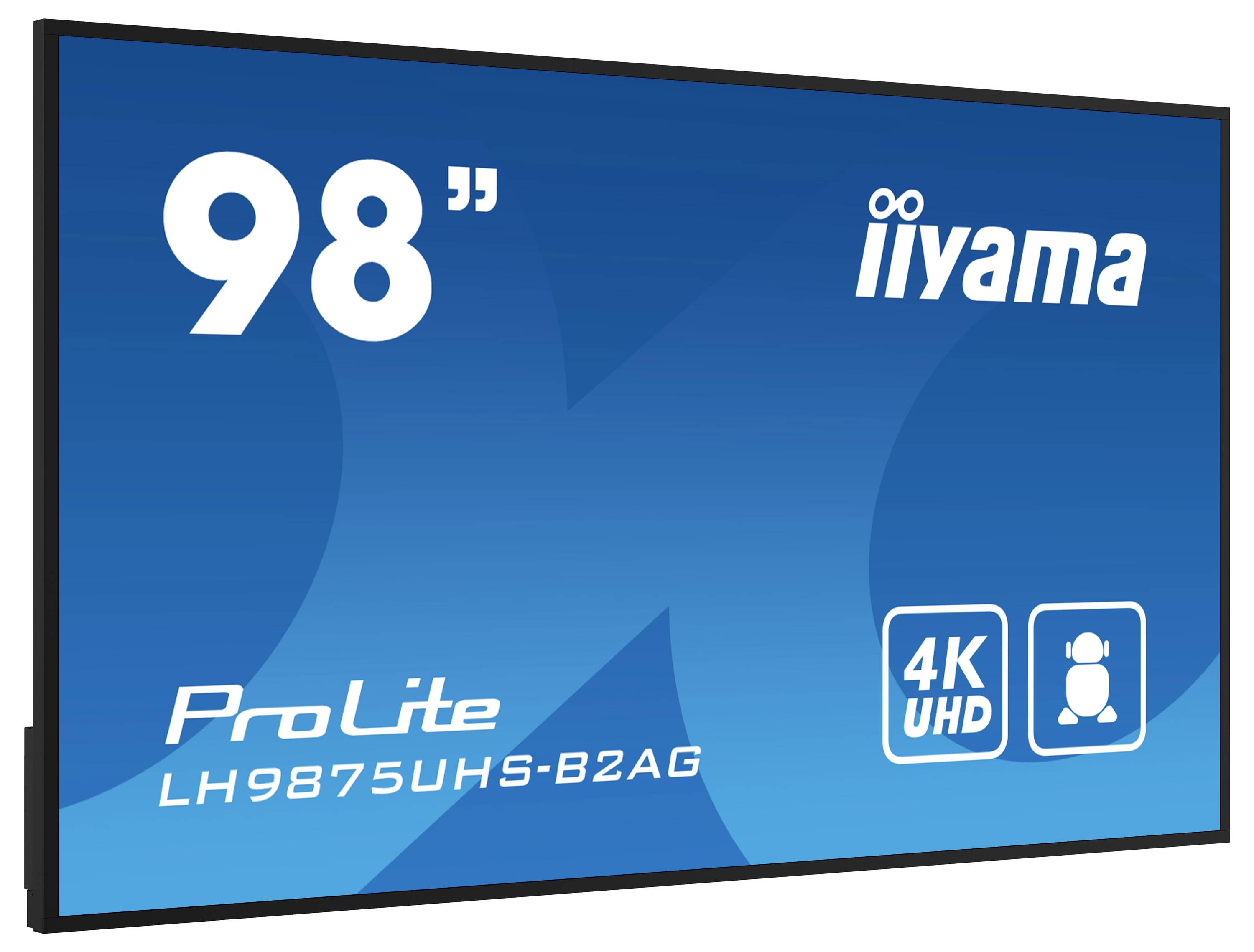'iiyama ProLite 98