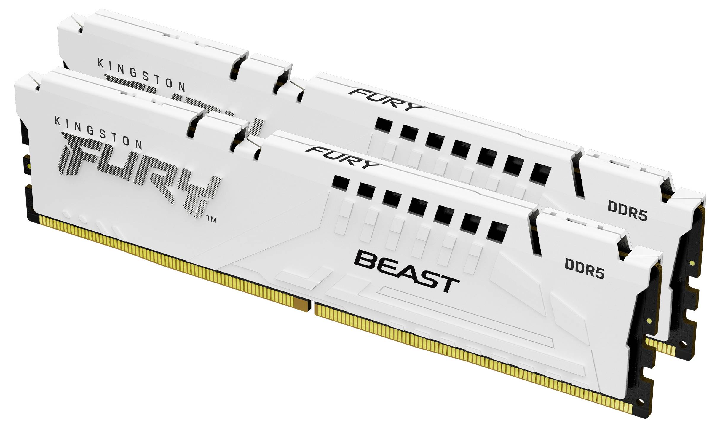 Zwei Kingston FURY BEAST DDR5 RAM-Module in Weiß, stehend nebeneinander, zeigen die Logos und technischen Spezifikationen.