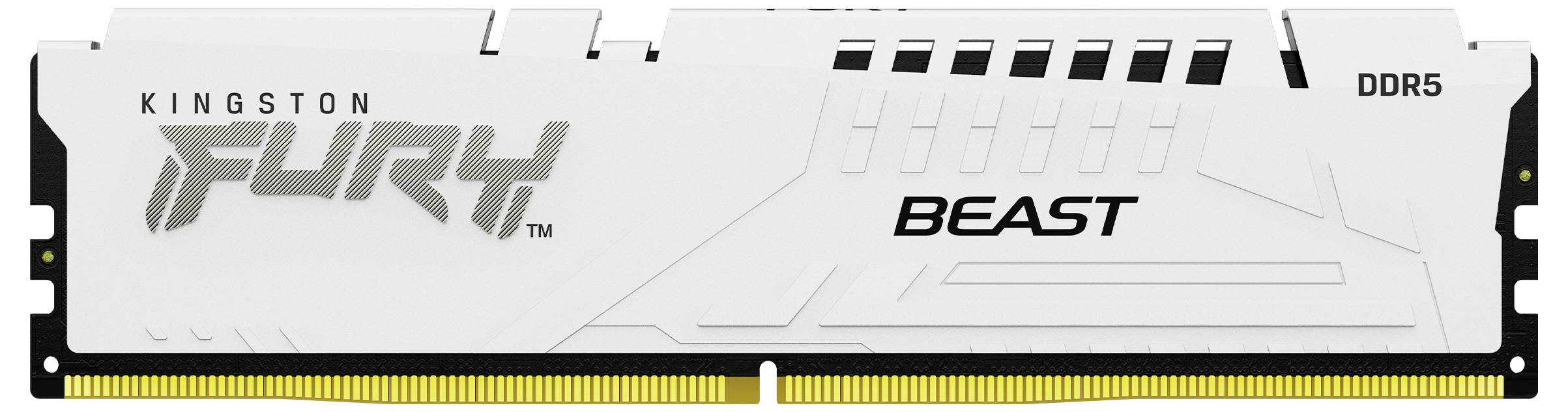 Ein weißer DDR5-RAM-Riegel mit der Aufschrift 'Kingston Fury Beast'.