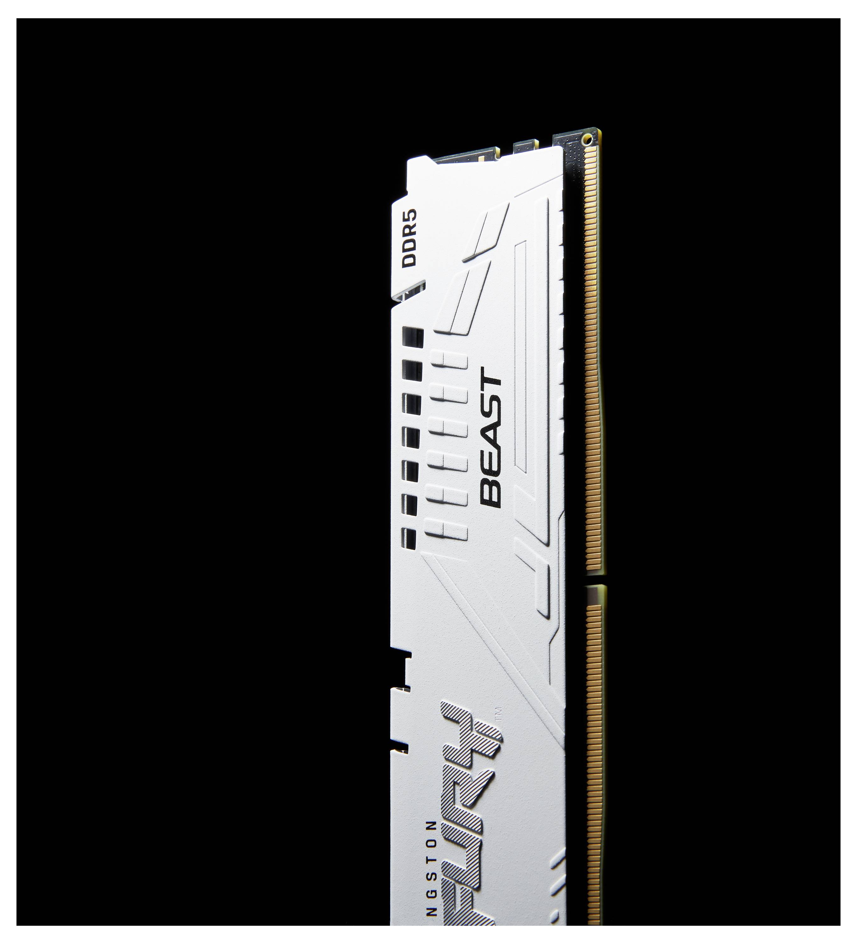 Ein einzelnes, weißes DDR5-RAM-Modul mit der Aufschrift 'BEAST' und 'FURY' vor einem schwarzen Hintergrund.