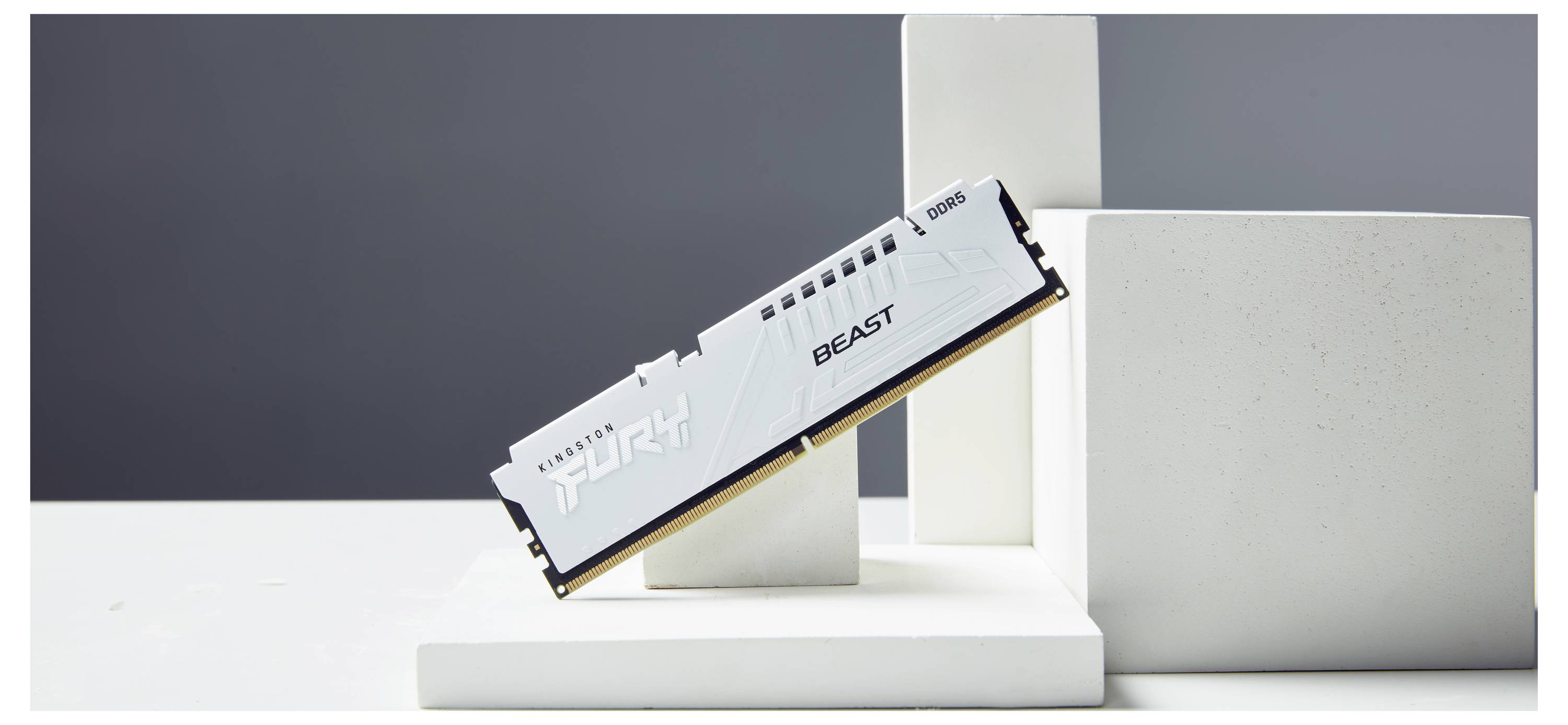Ein weißes RAM-Modul mit der Aufschrift 'BEAST' lehnt diagonal an weißen Blöcken. Hintergrund ist grau.