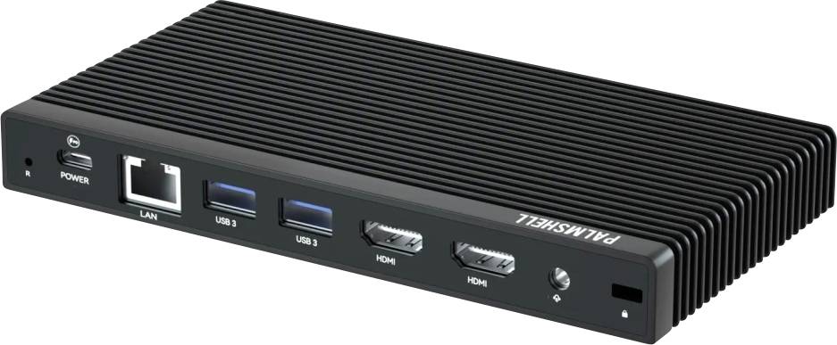 Kompakter Mini-PC mit Anschlüssen: LAN, zwei USB-Ports, zwei HDMI-Ports und Stromanschluss. Gerätekappe trägt die Aufschrift 'PANTHER'.