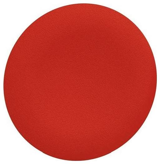 Schneider Electric ZBAF4 Tastenschild 10St.