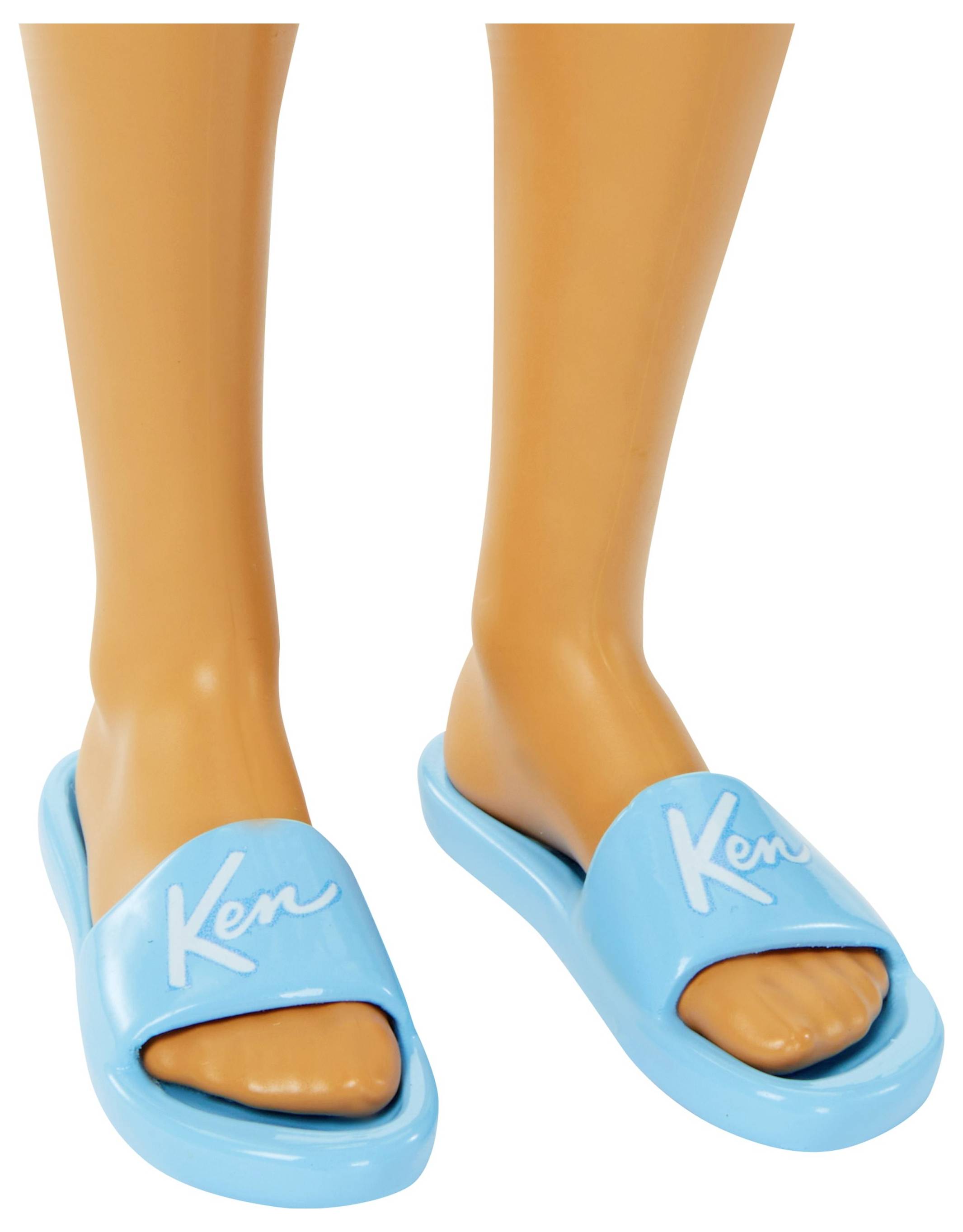 Mattel Barbie Beach Day Ken HPL74