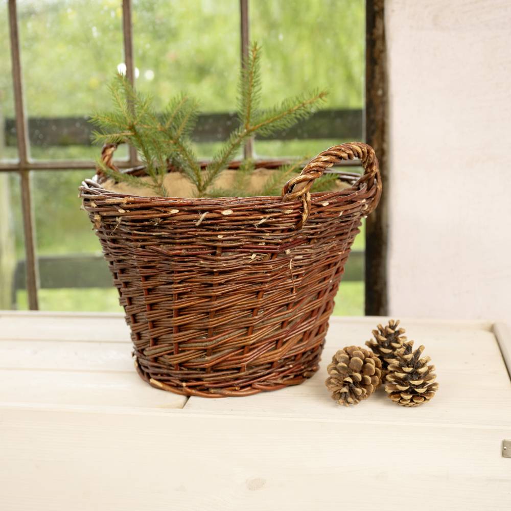 Weidenkorb mit kleinen Tannenpflanzen auf Holztisch, neben zwei Tannenzapfen vor einem Fenster.