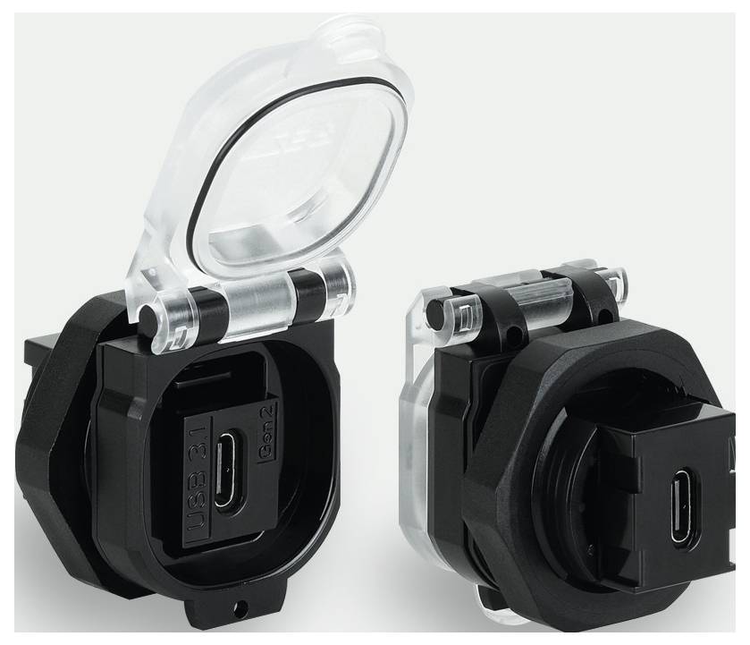 Lütze Einbaudose USB-3.1 C/C F/F 180° PC mit Klappdeckel USB-3.1 C/C F/F 180° PC 493120 Inhalt: 1St.