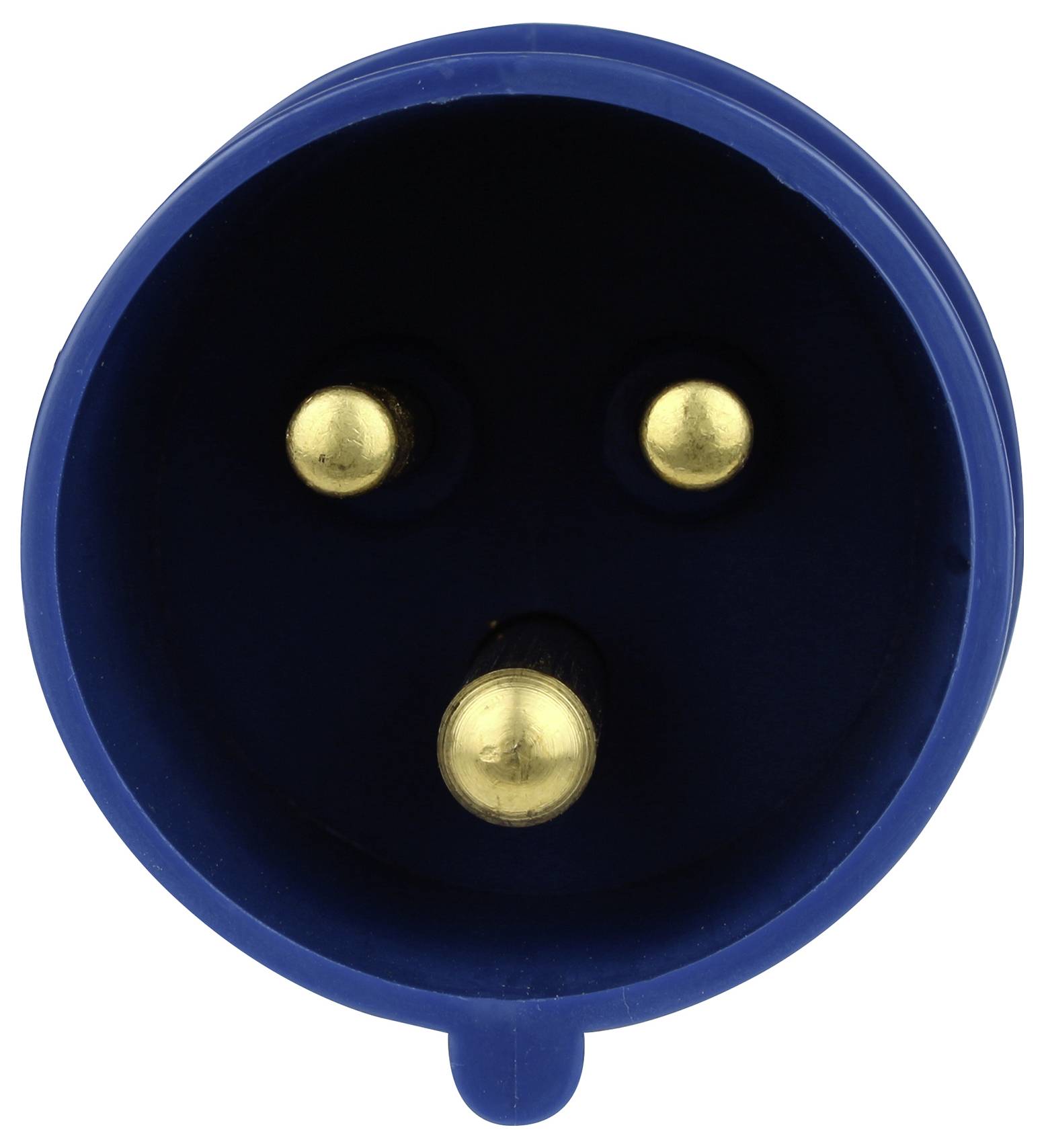 Blauer elektrischer Stecker mit drei goldenen Steckkontakten, frontal abgebildet.