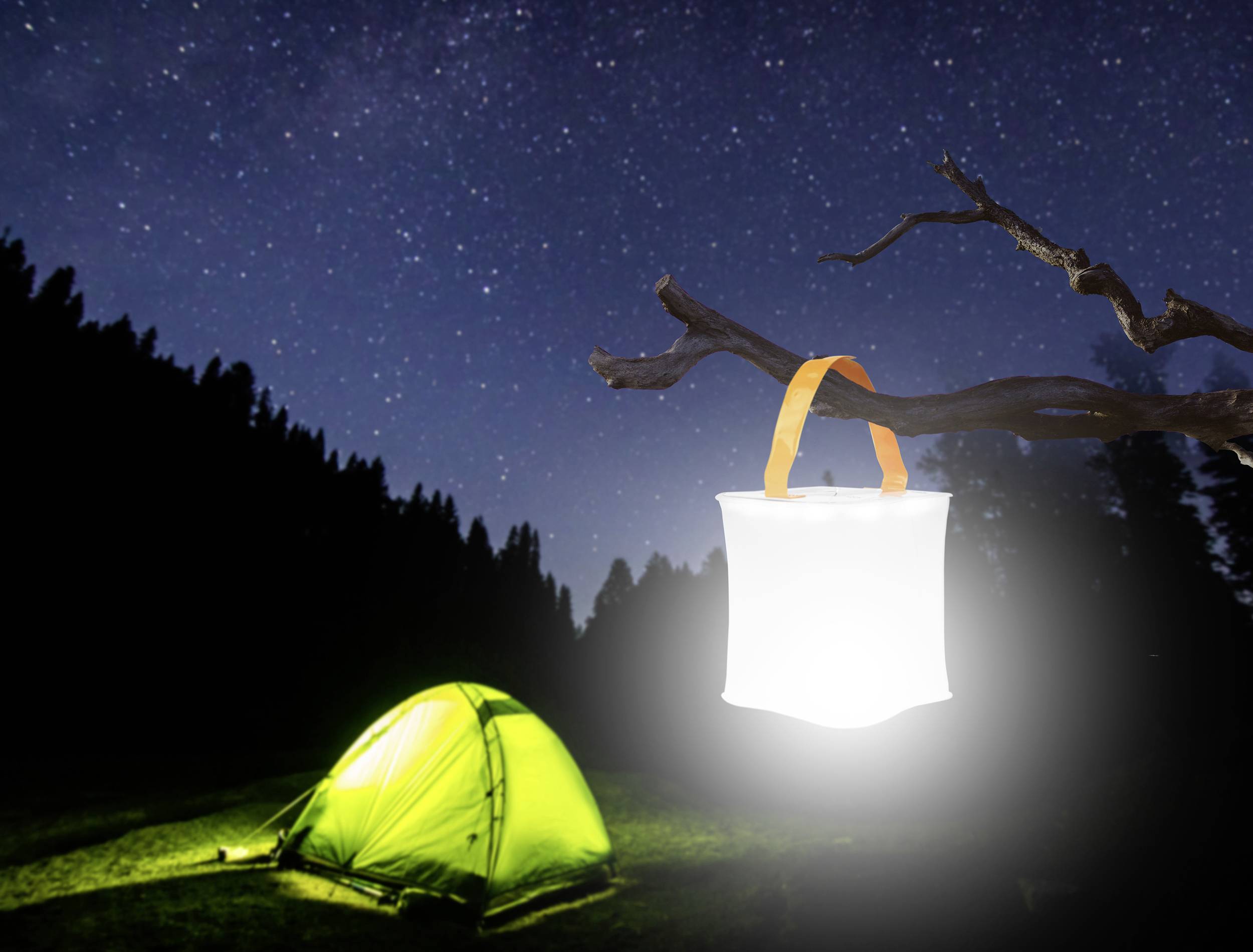 Ein beleuchtetes Zelt in einem Wald bei Nacht, mit einem leuchtenden Laternenlicht an einem Ast im Vordergrund. Sterne am Himmel.