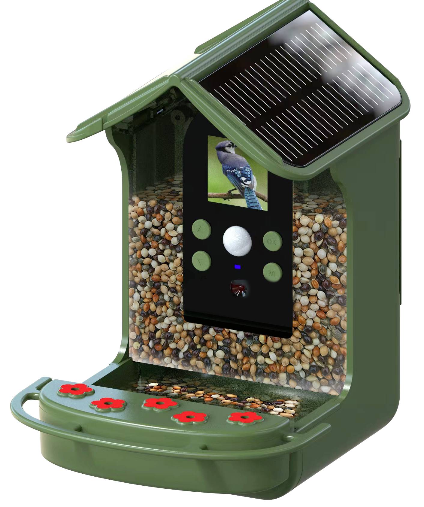 Braun Phototechnik Bird Cam 130 Solar Wildkamera mit Futterspender Grün