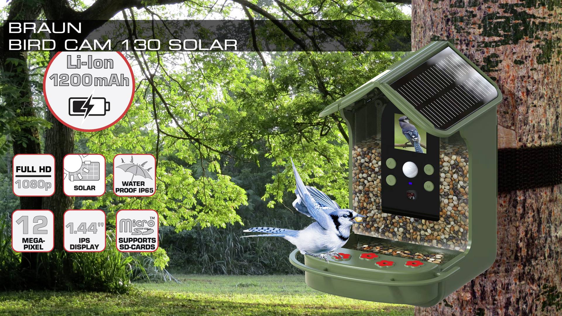 Braun Phototechnik Bird Cam 130 Solar Wildkamera mit Futterspender Grün