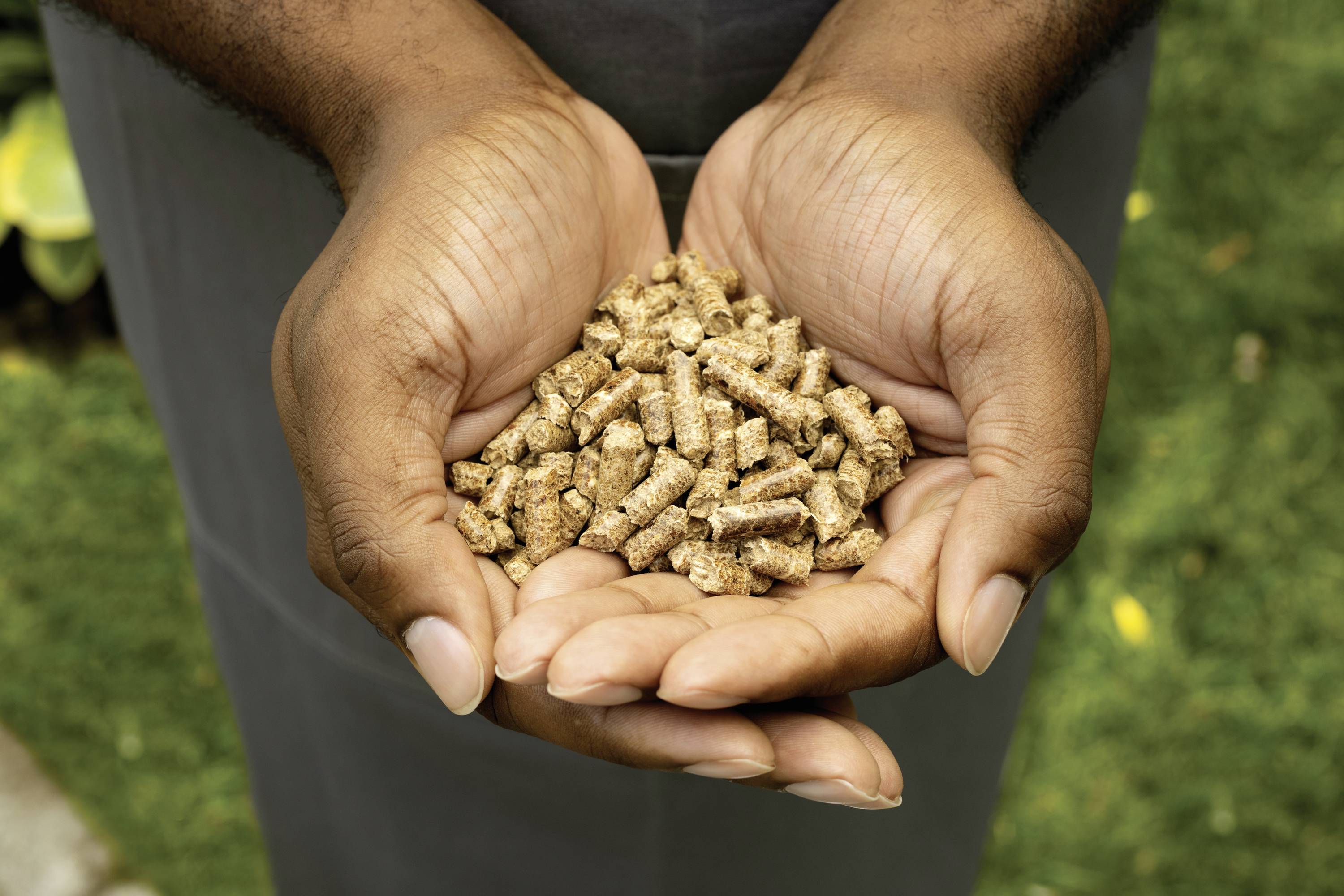 Ninja Woodfire Pellets Räucherpellets