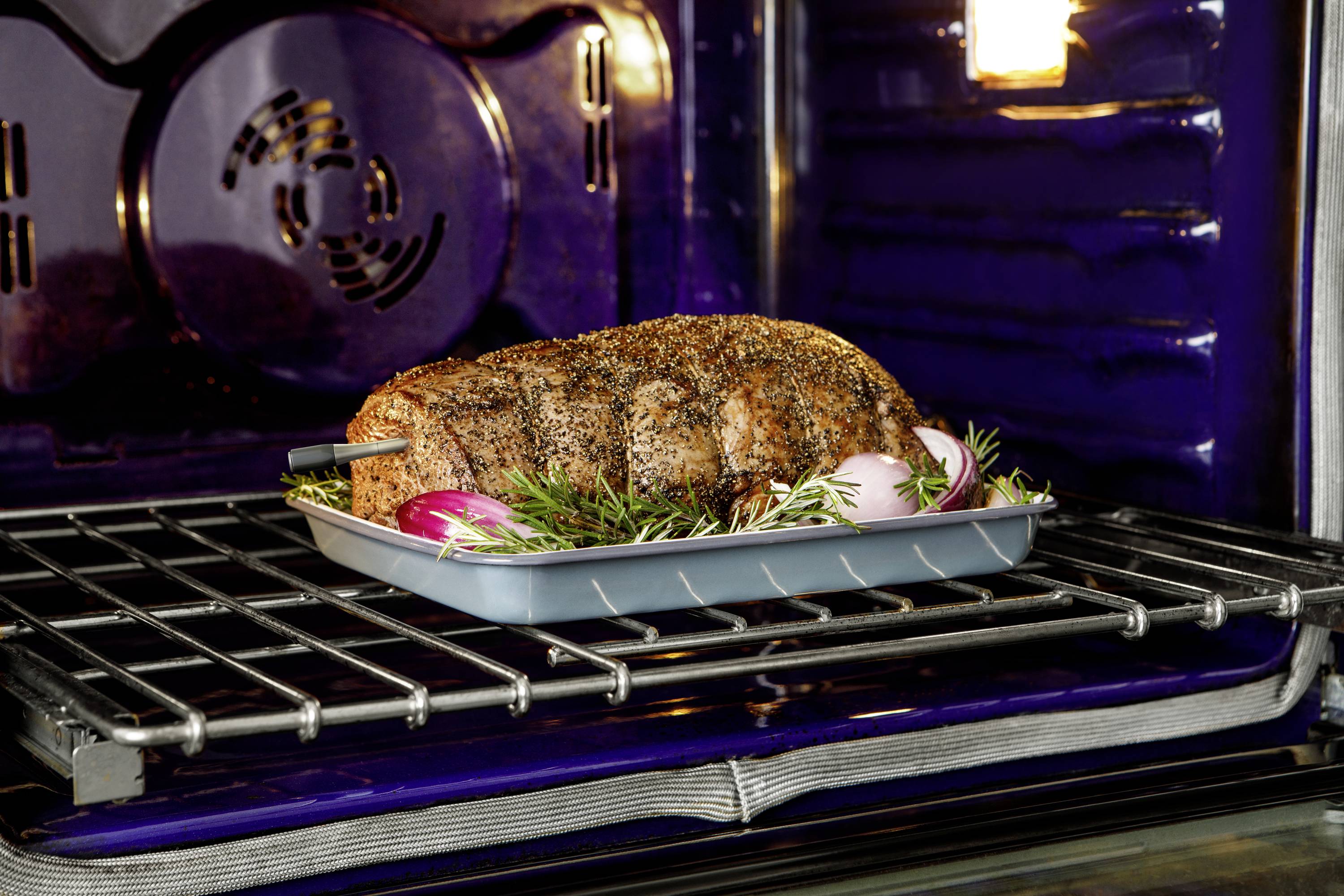 Ninja ProChef Grillthermometer