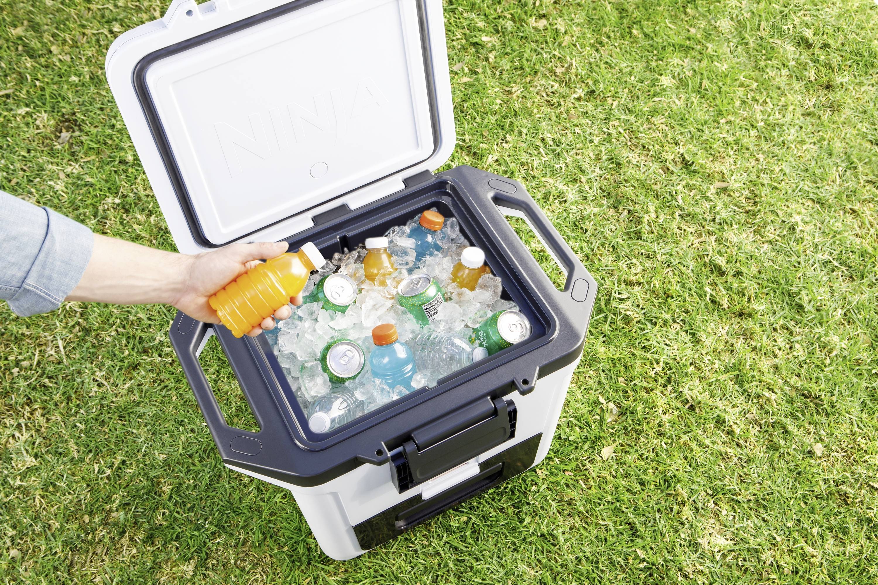 Ninja FrostVault Kühlbox Passiv Weiß, Schwarz 28 l