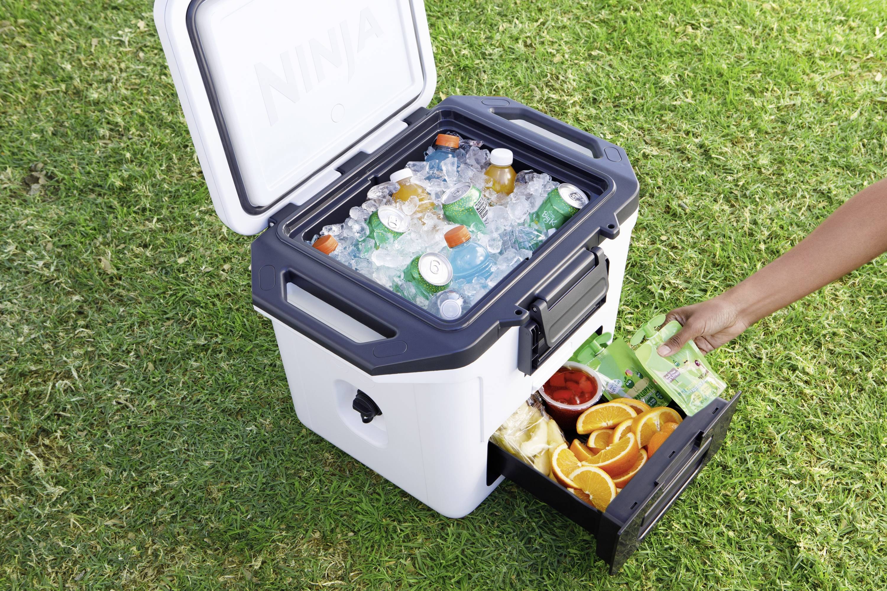 Ninja FrostVault Kühlbox Passiv Weiß, Schwarz 28 l