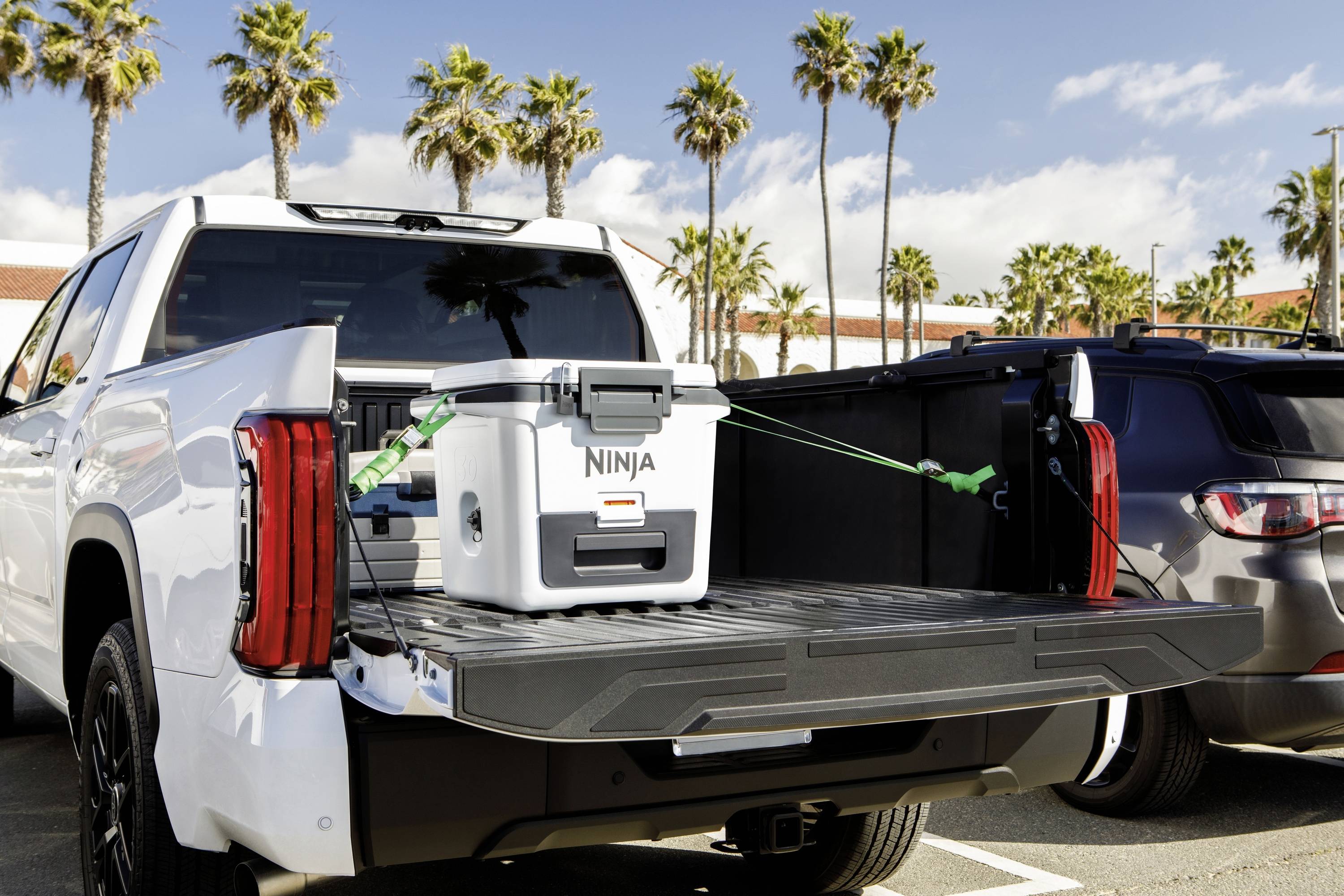 Ninja FrostVault Kühlbox Passiv Weiß, Schwarz 28 l