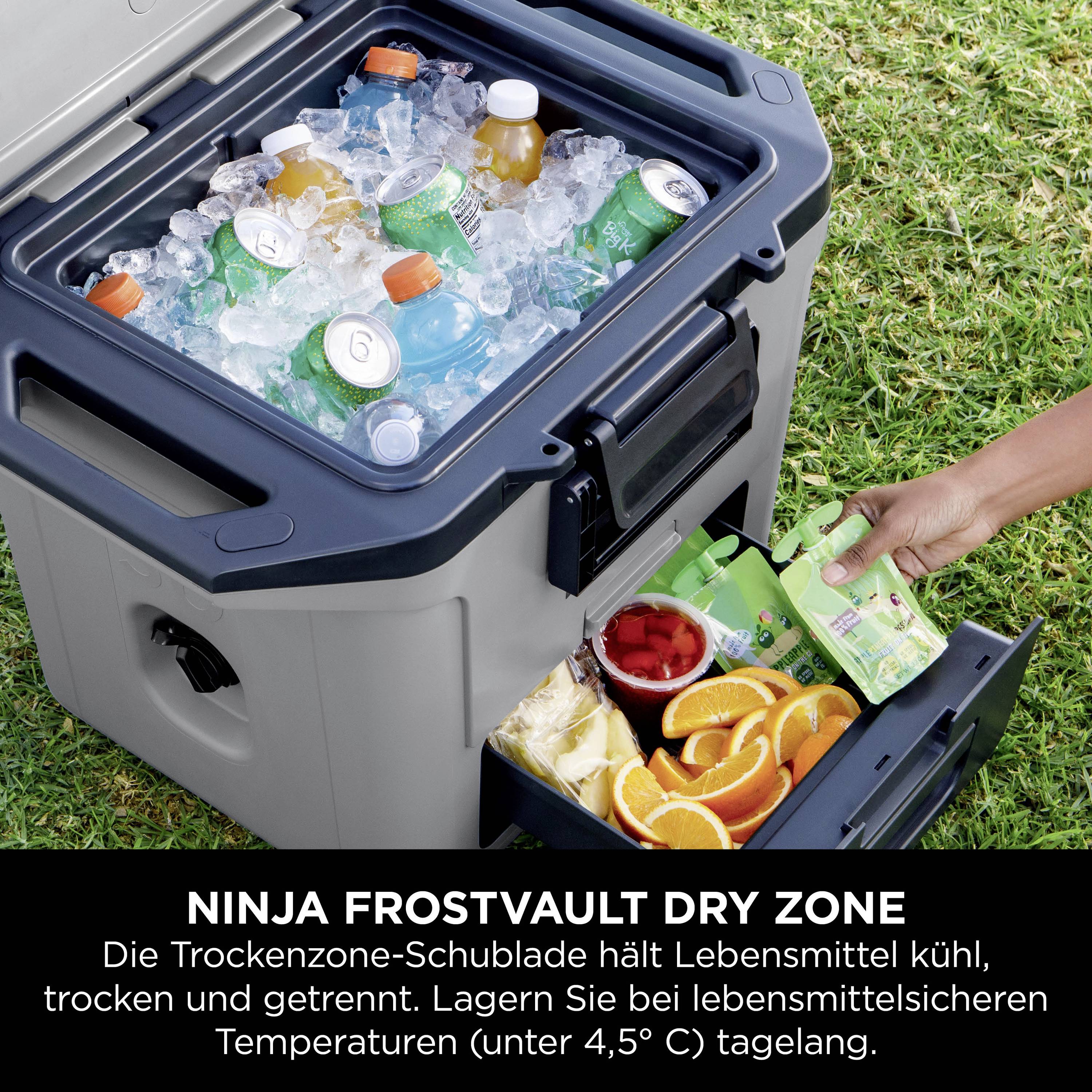Ninja FrostVault Kühlbox Passiv Grau, Schwarz 28 l