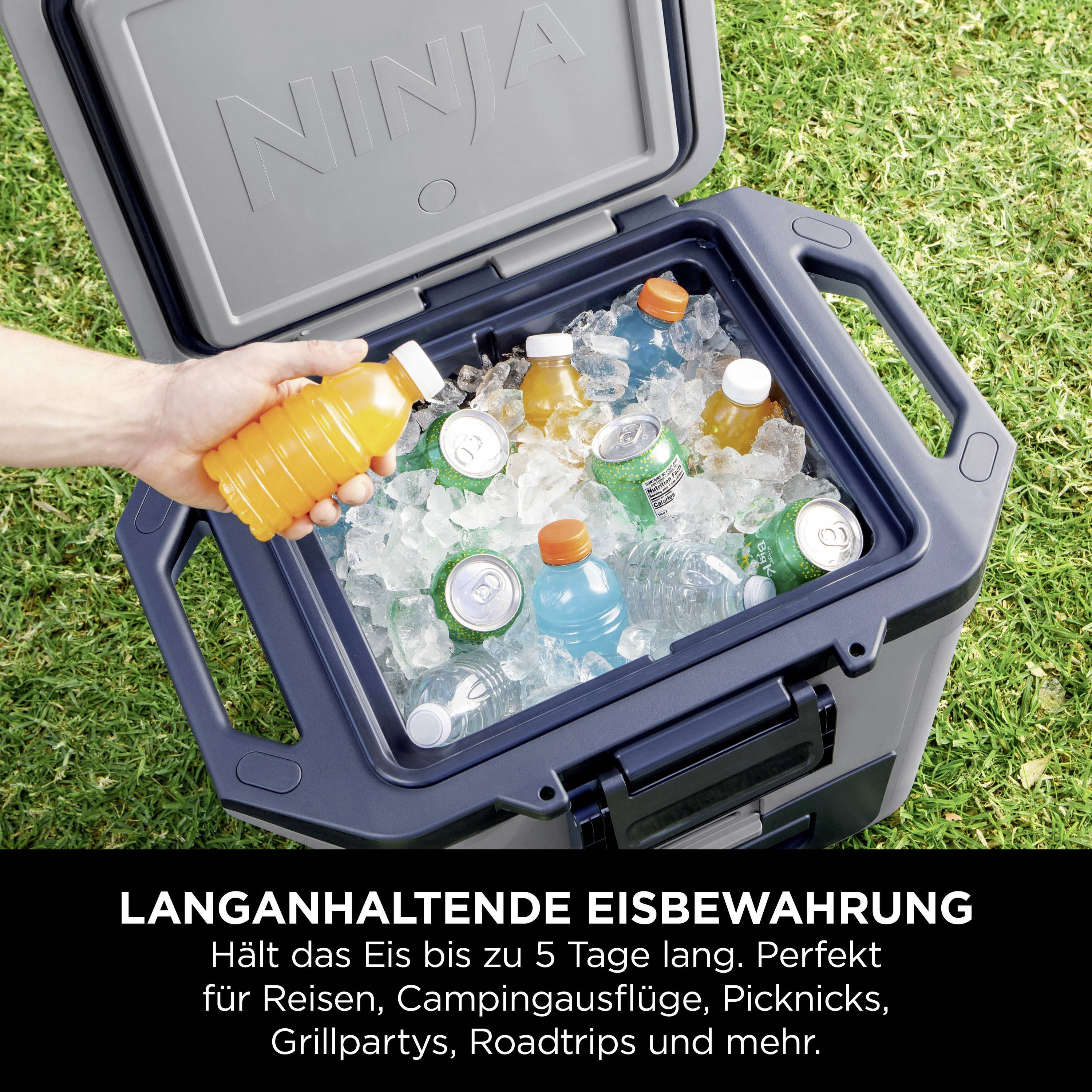 Ninja FrostVault Kühlbox Passiv Grau, Schwarz 28 l