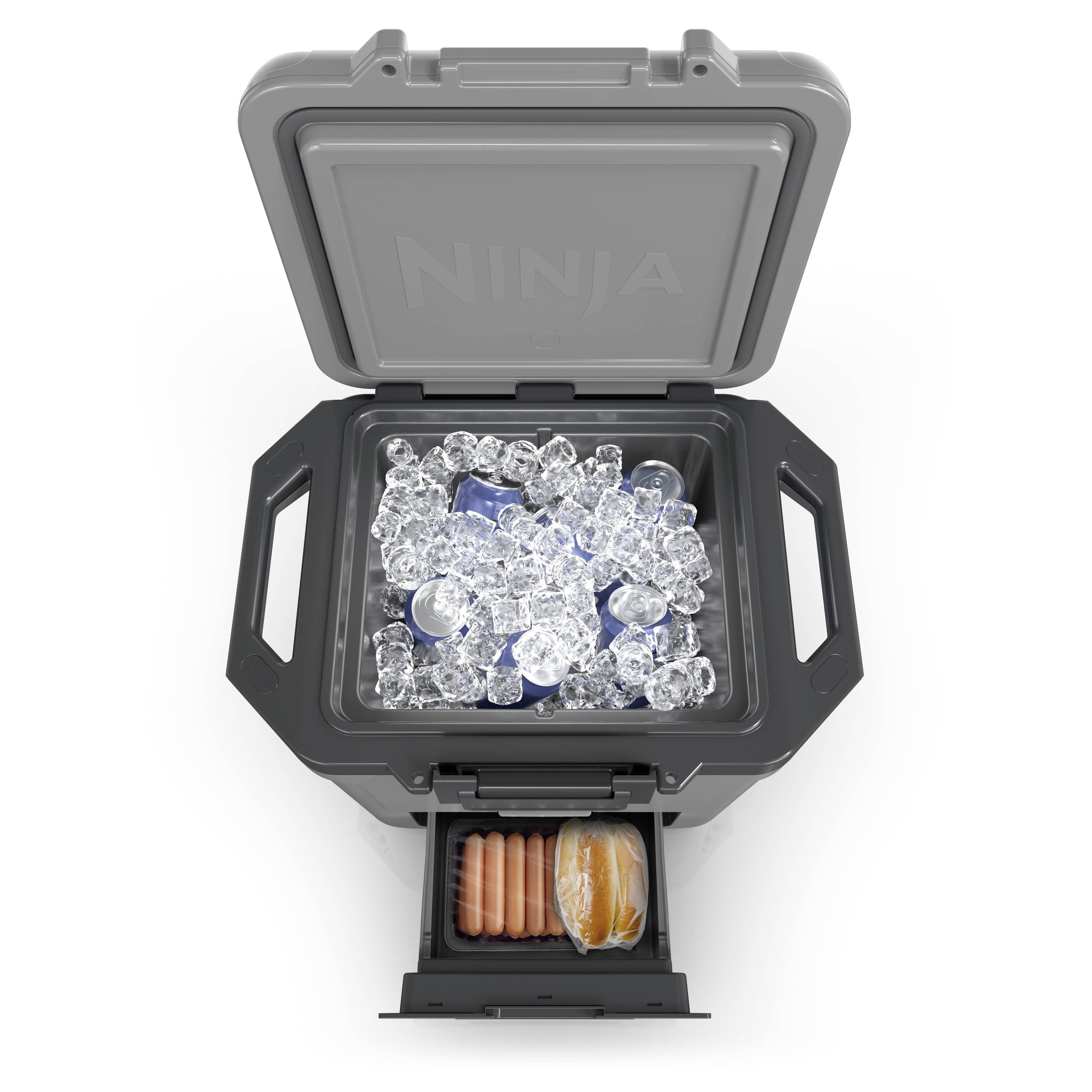 Ninja FrostVault Kühlbox Passiv Grau, Schwarz 28 l