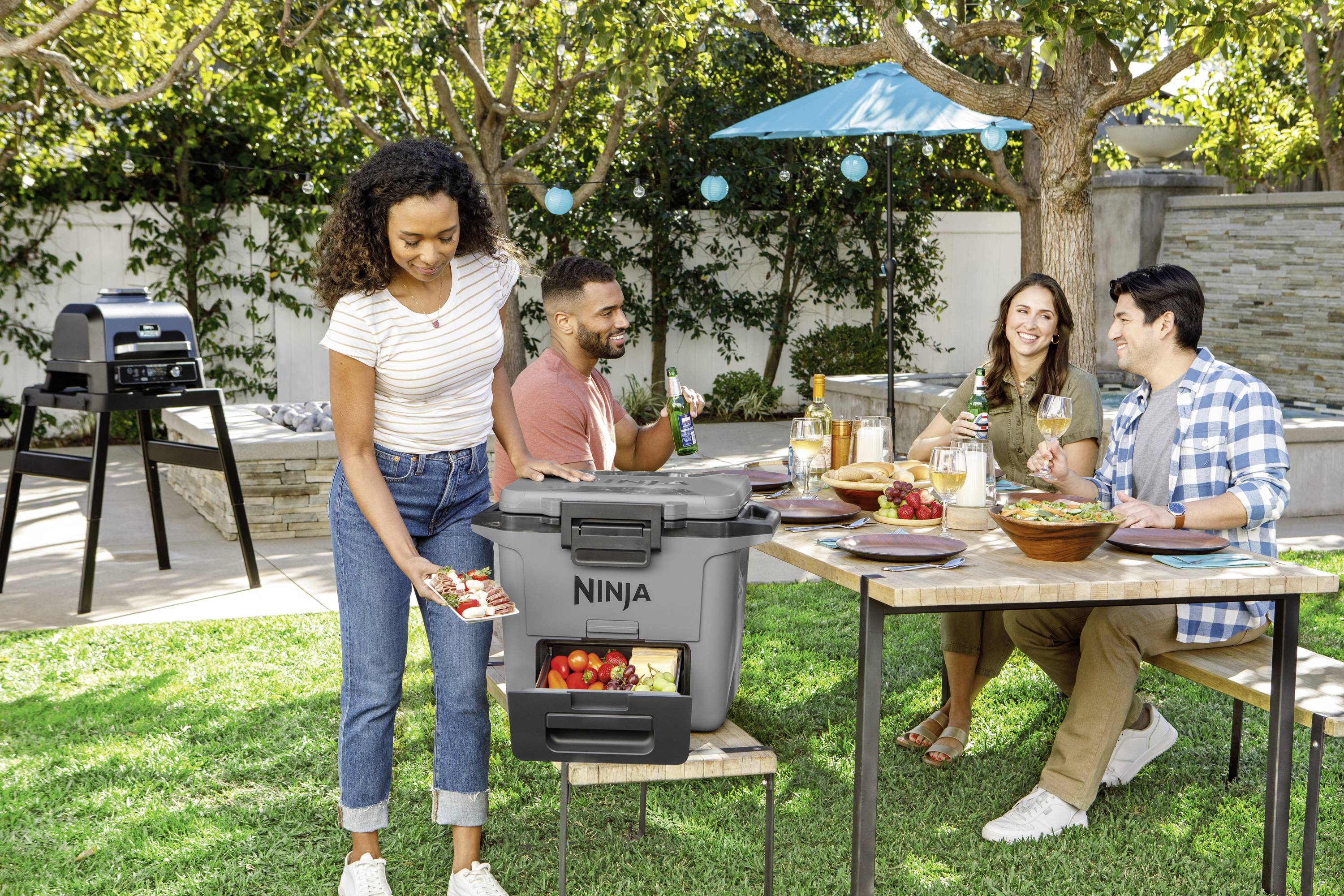 Ninja FrostVault Kühlbox Passiv Grau, Schwarz 28 l