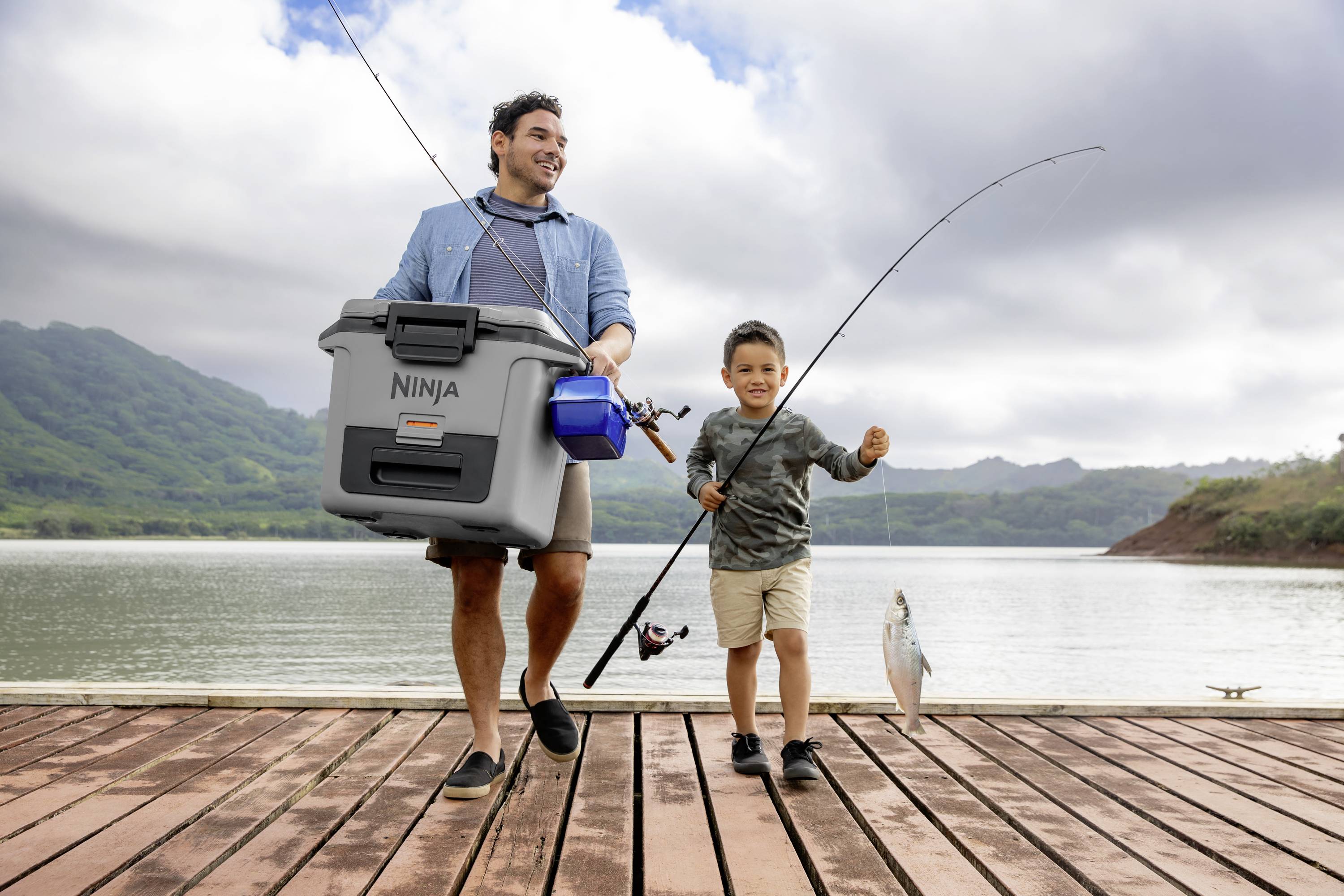 Ninja FrostVault Kühlbox Passiv Grau, Schwarz 28 l