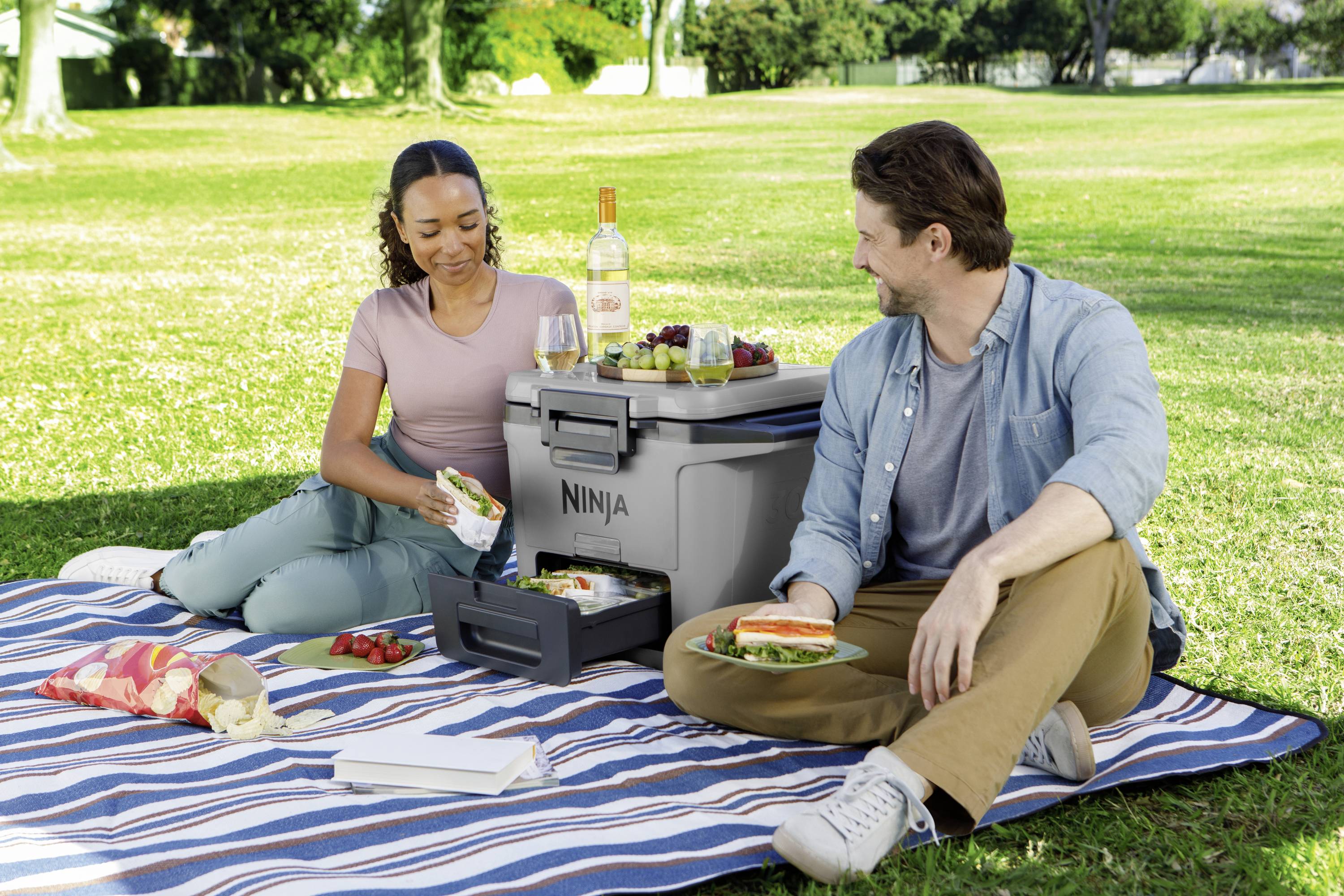 Ninja FrostVault Kühlbox Passiv Grau, Schwarz 28 l