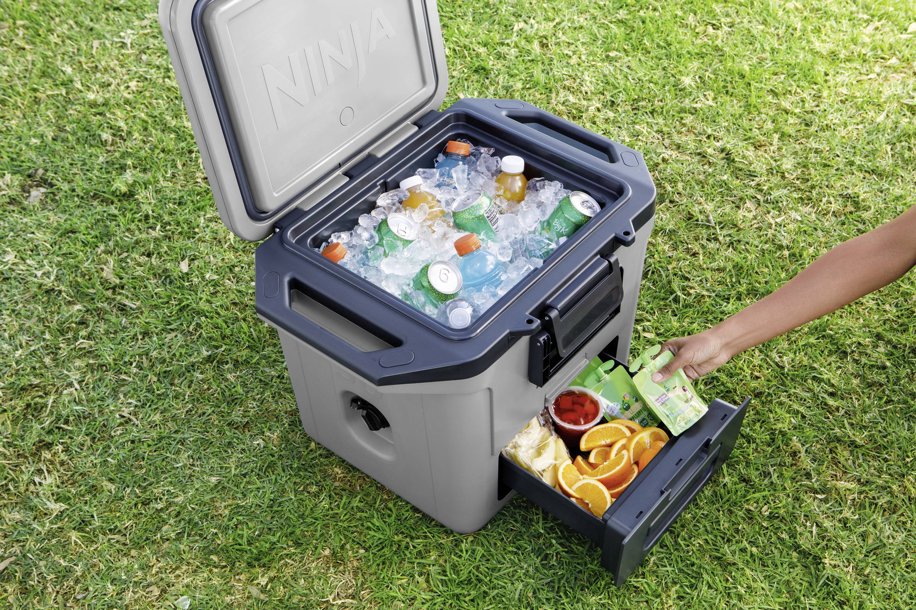 Ninja FrostVault Kühlbox Passiv Grau, Schwarz 28 l