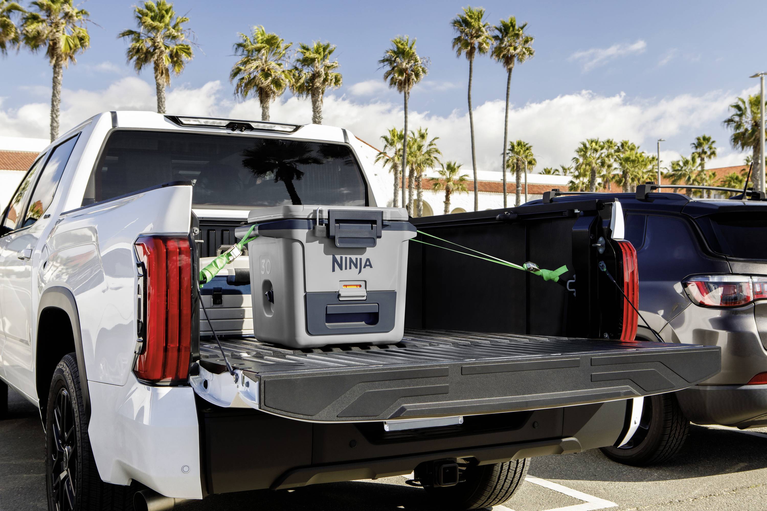 Ninja FrostVault Kühlbox Passiv Grau, Schwarz 28 l