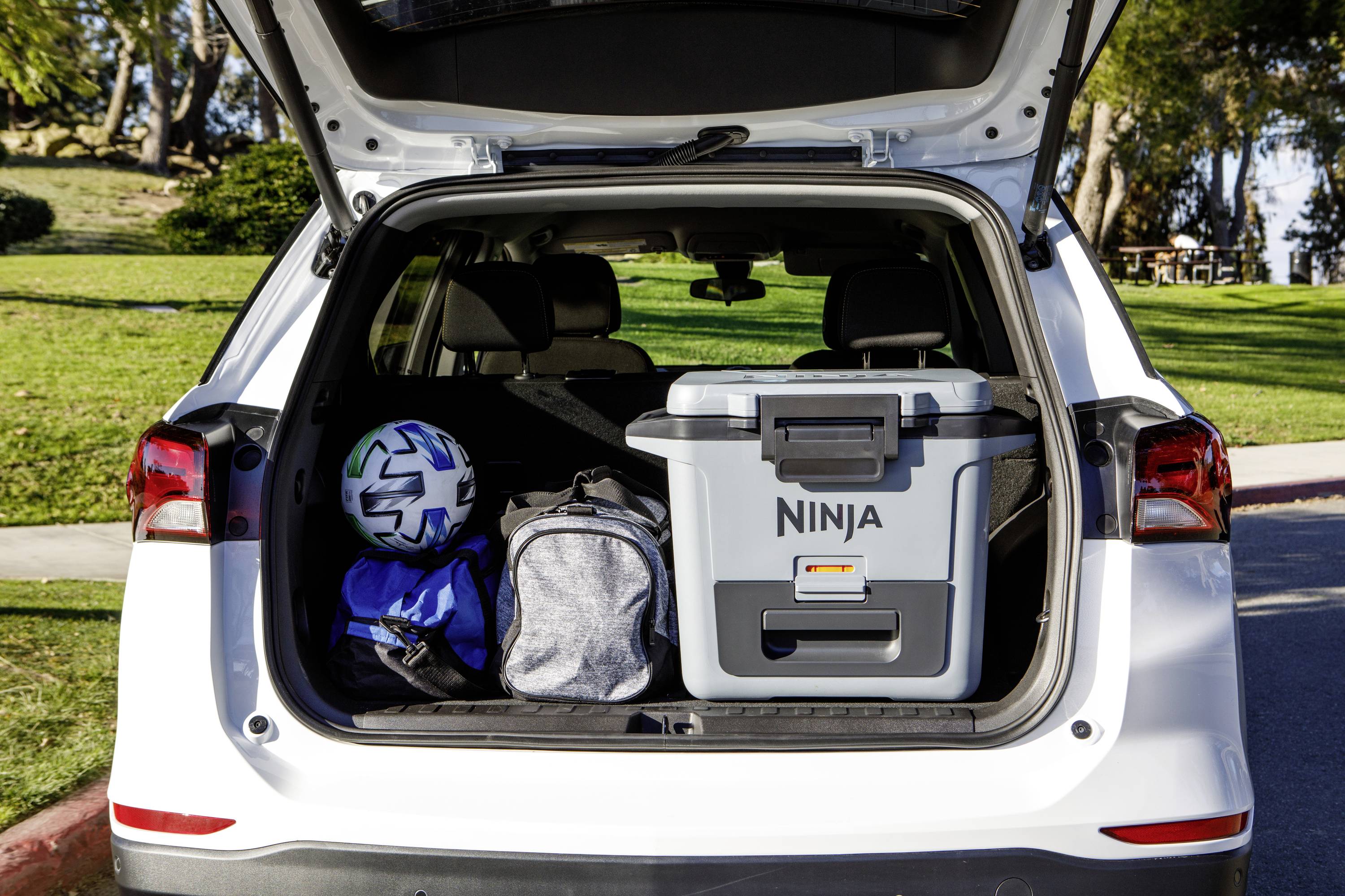 Ninja FrostVault Kühlbox Passiv Grau, Schwarz 28 l