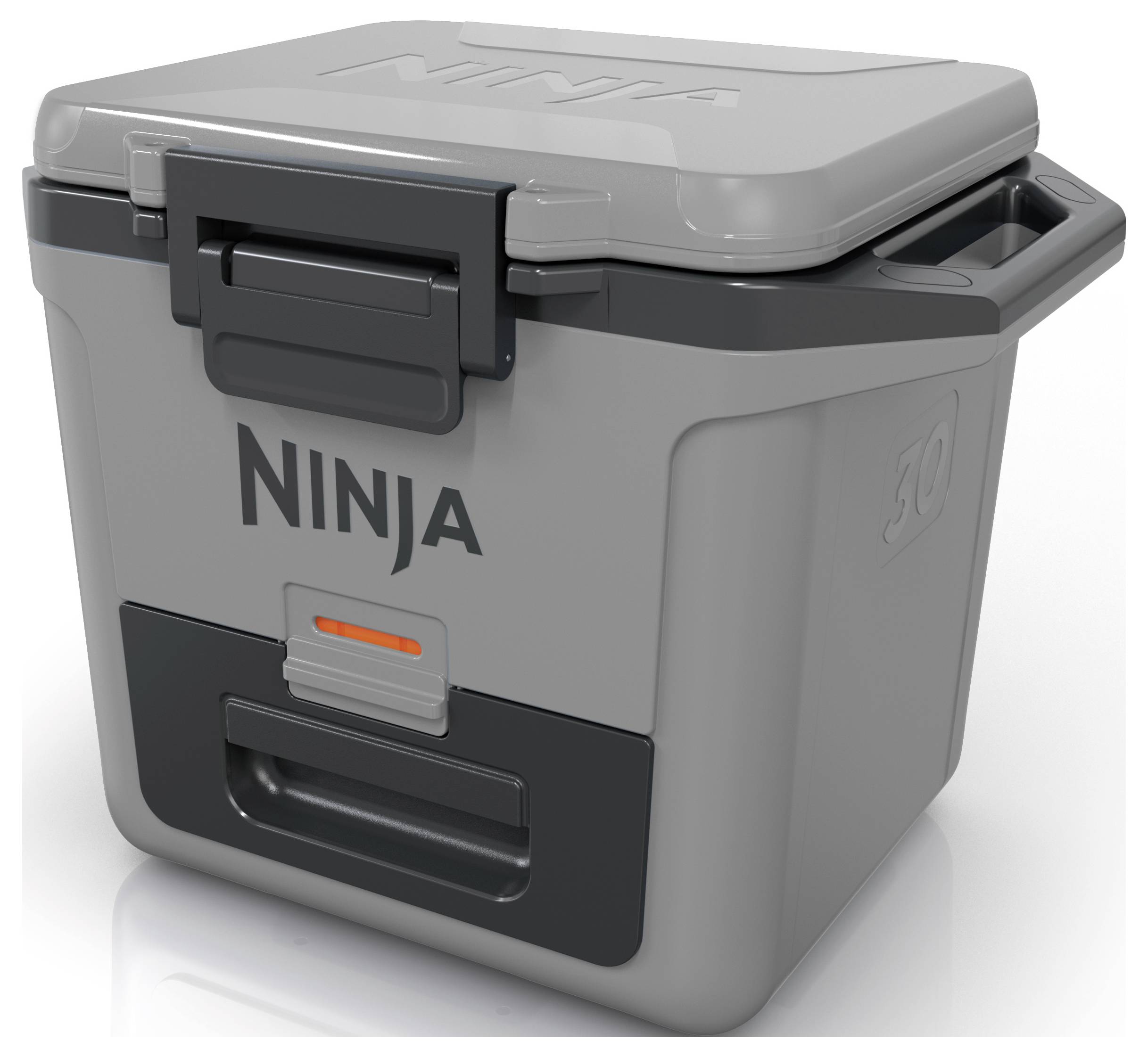 Ninja FrostVault Kühlbox Passiv Grau, Schwarz 28 l