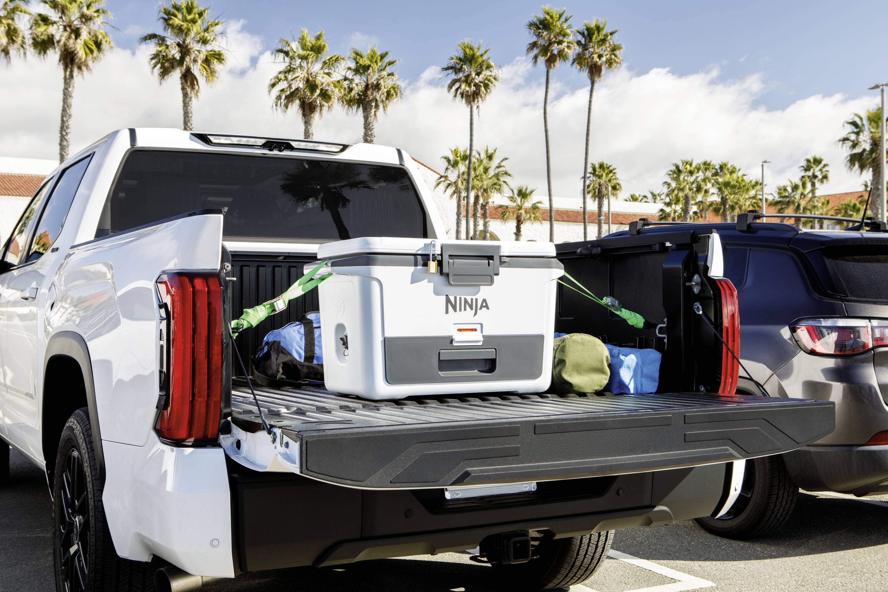 Ninja FrostVault Kühlbox Passiv Weiß, Schwarz 47 l