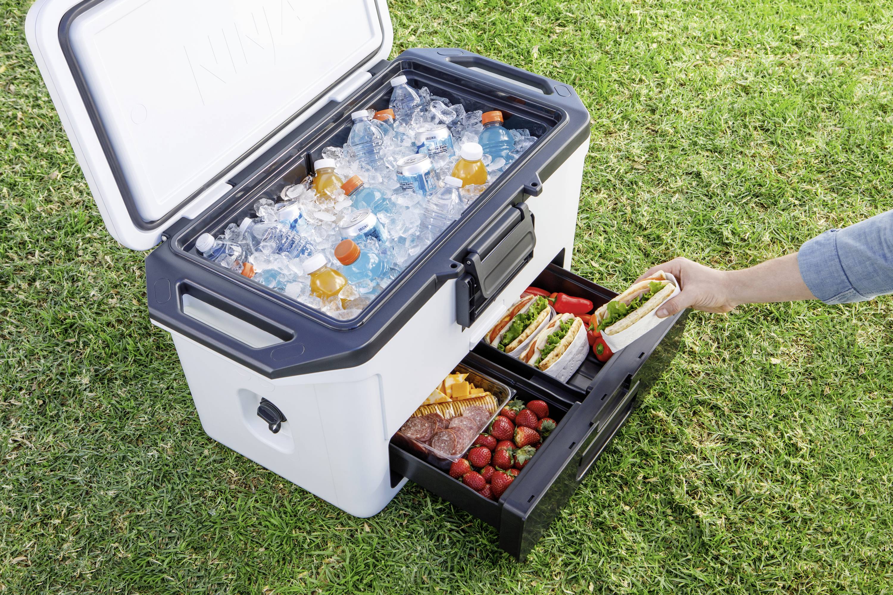 Ninja FrostVault Kühlbox Passiv Weiß, Schwarz 47 l