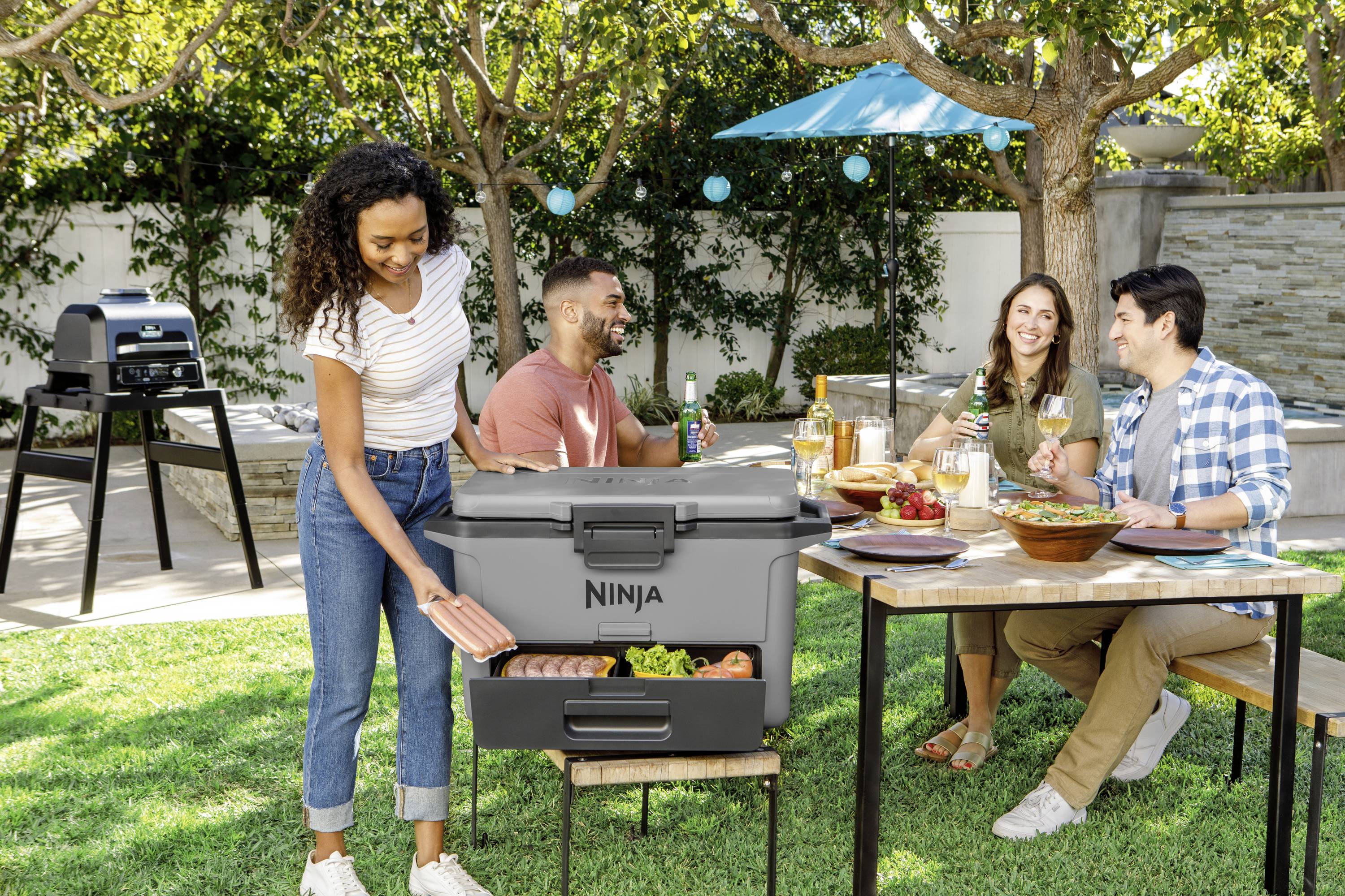 Ninja FrostVault Kühlbox Passiv Grau, Schwarz 47 l