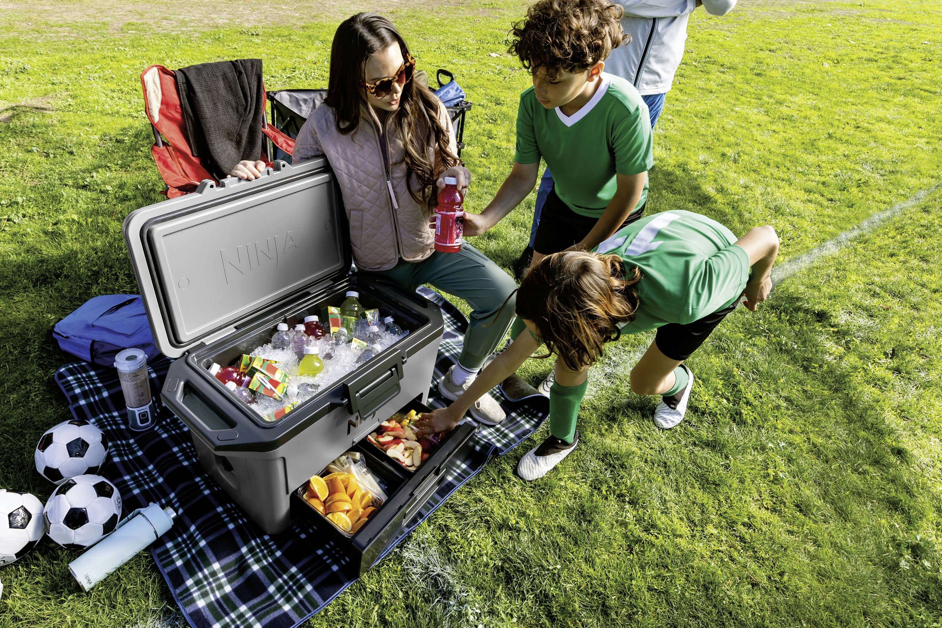 Ninja FrostVault Kühlbox Passiv Grau, Schwarz 47 l