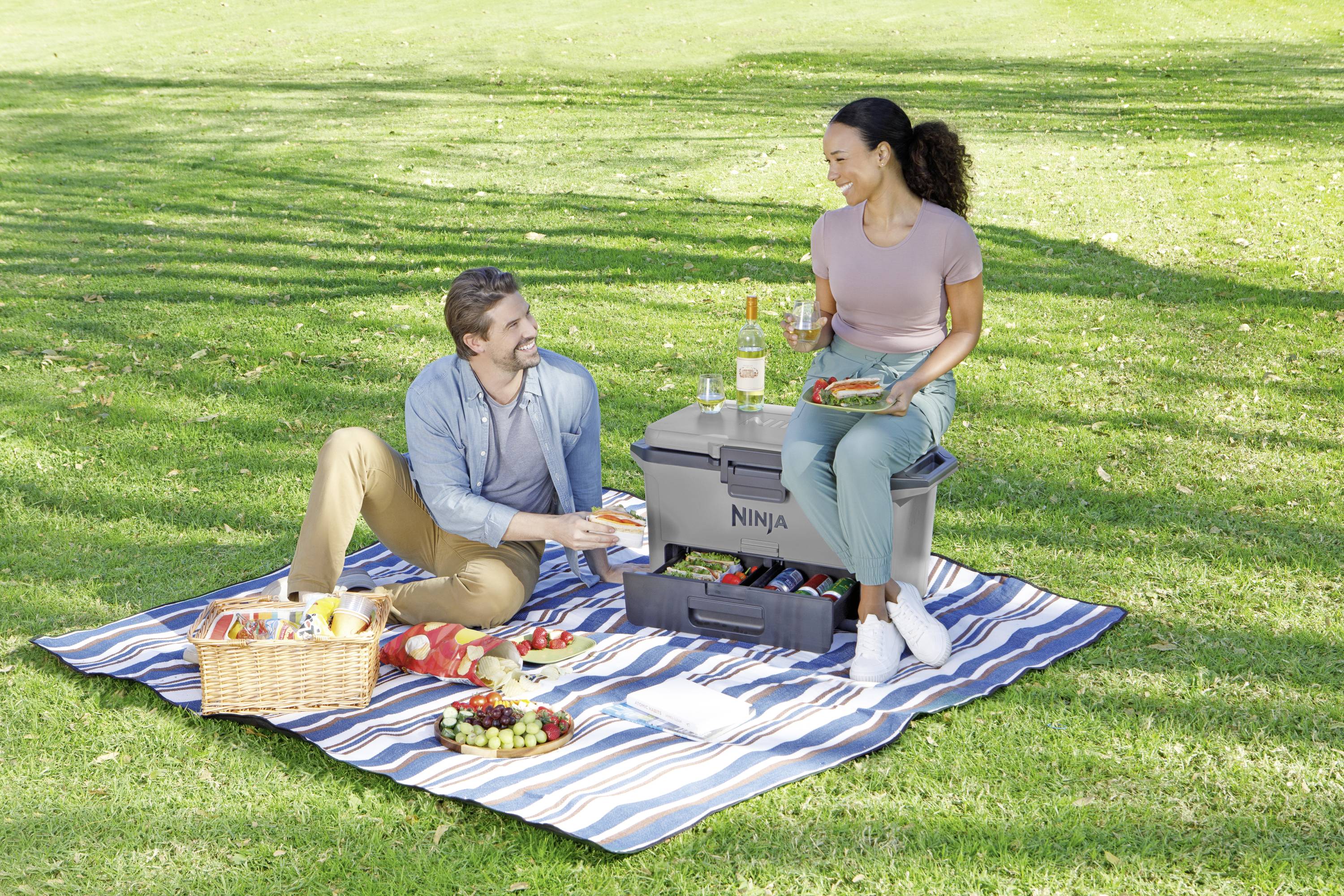 Ninja FrostVault Kühlbox Passiv Grau, Schwarz 47 l