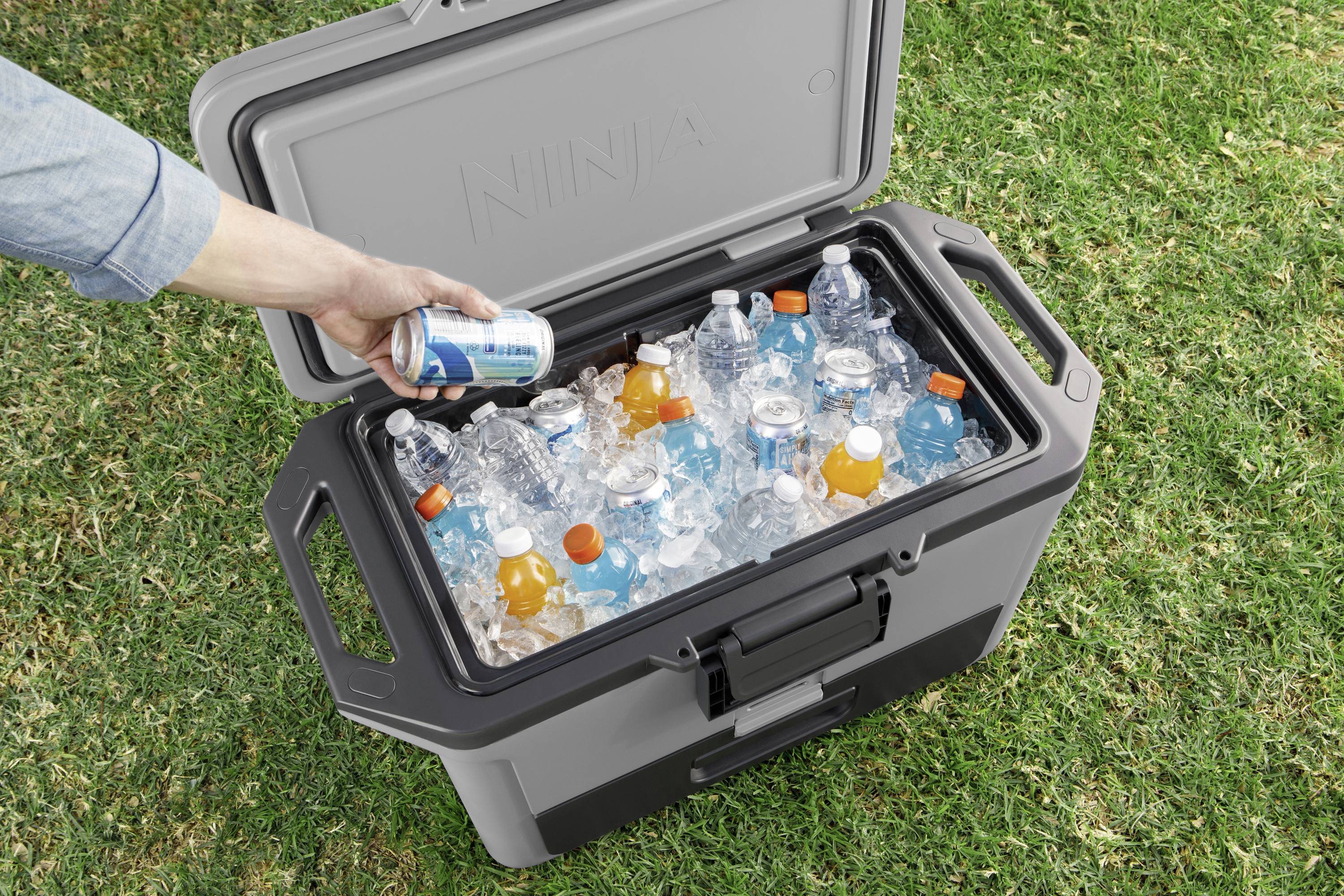 Ninja FrostVault Kühlbox Passiv Grau, Schwarz 47 l