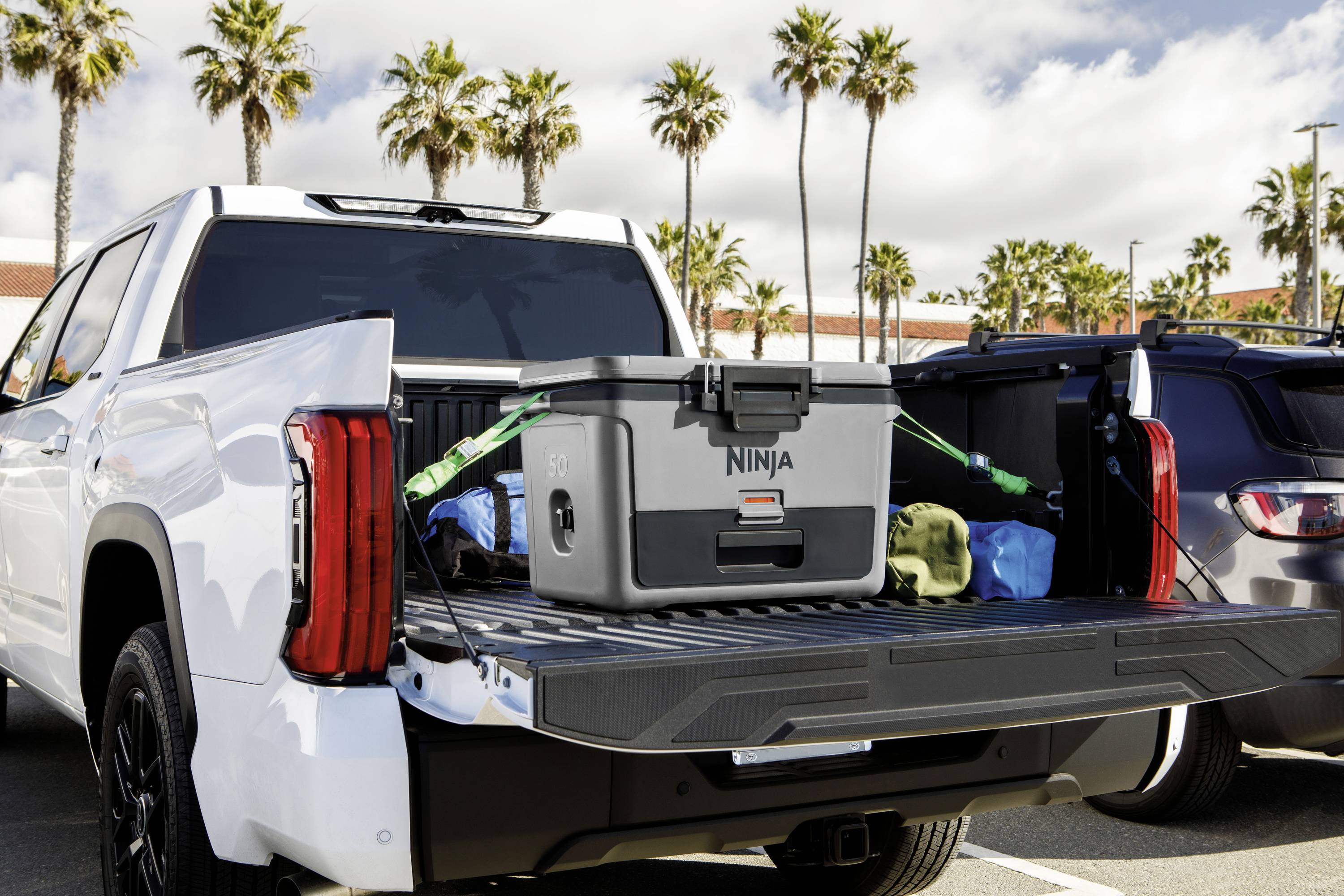 Ninja FrostVault Kühlbox Passiv Grau, Schwarz 47 l